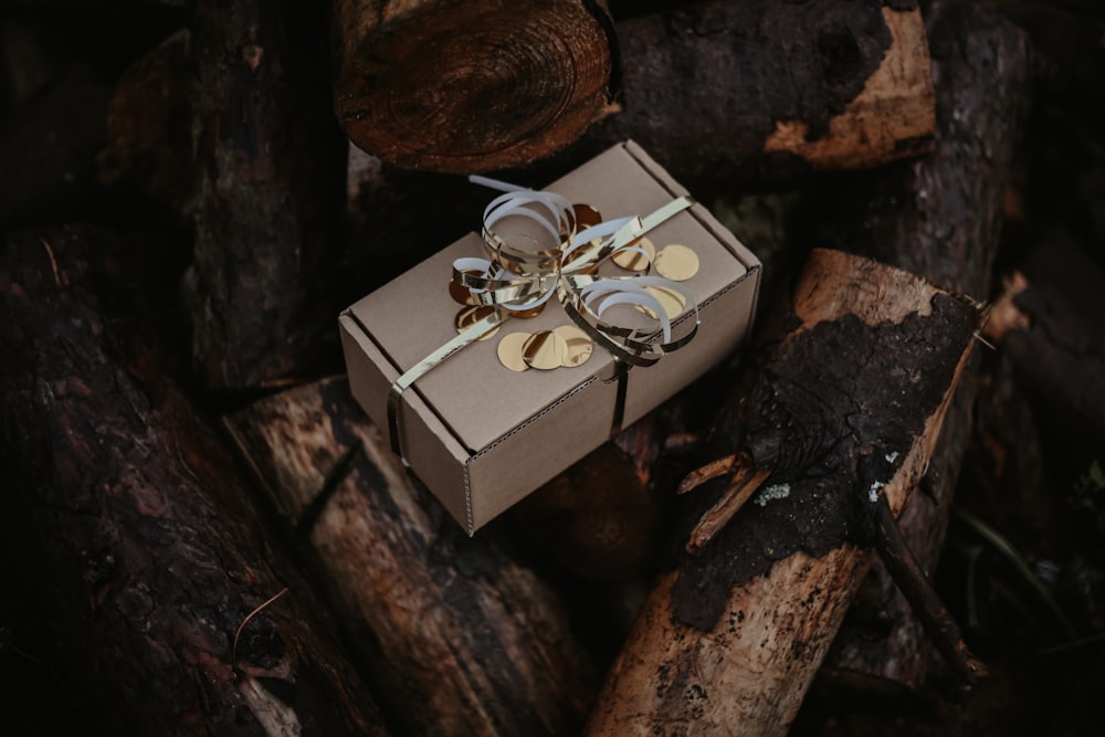 a wrapped present box sitting on top of a pile of logs