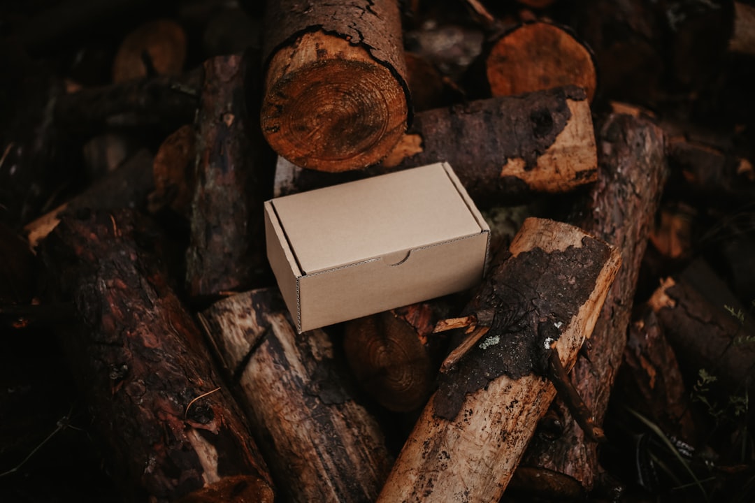 Why Heavy Duty Shipping Boxes are Your Go-To Solution for Shipping Large, Heavy Items Safely