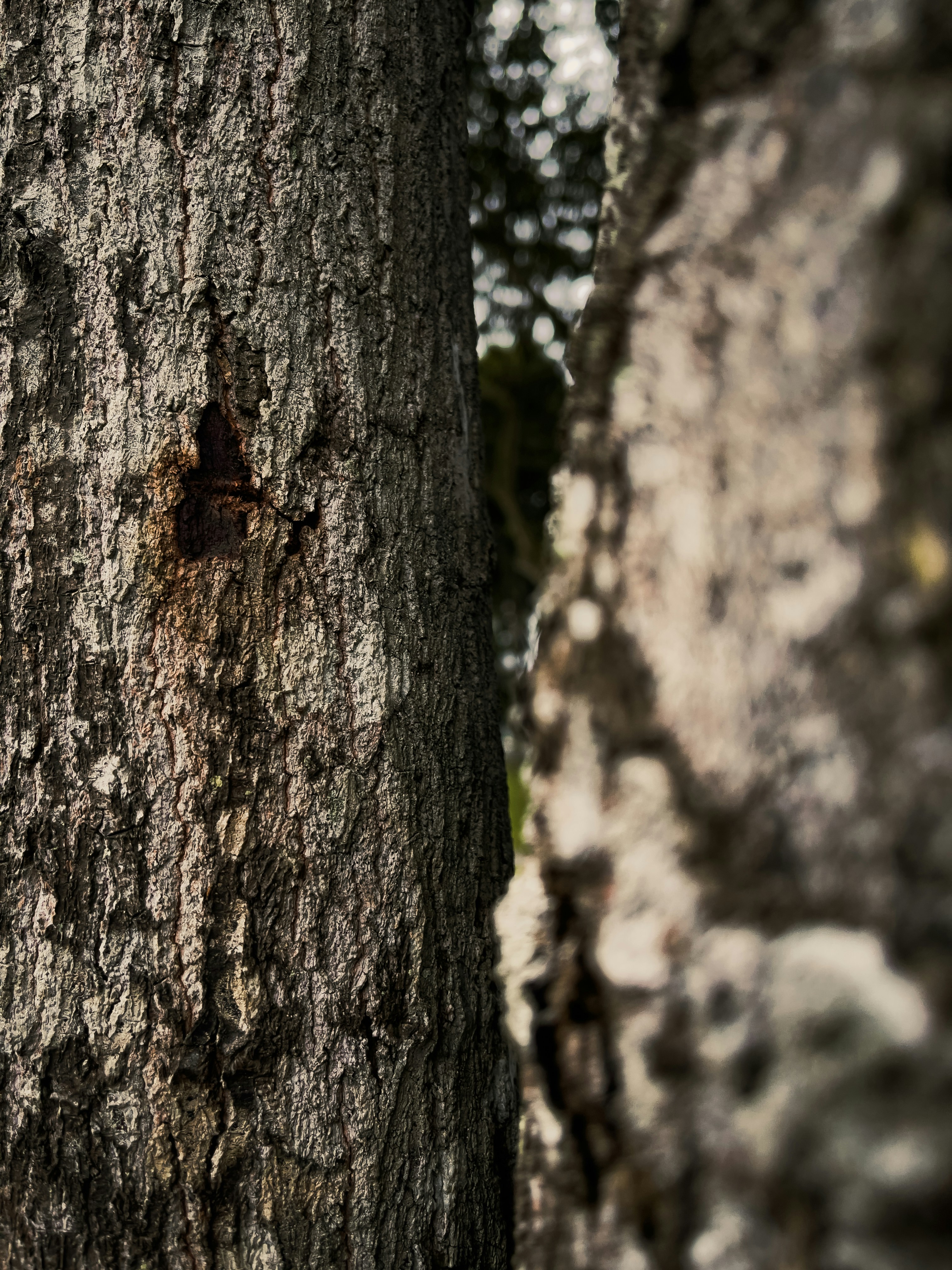 Photo by nadzimuddin_