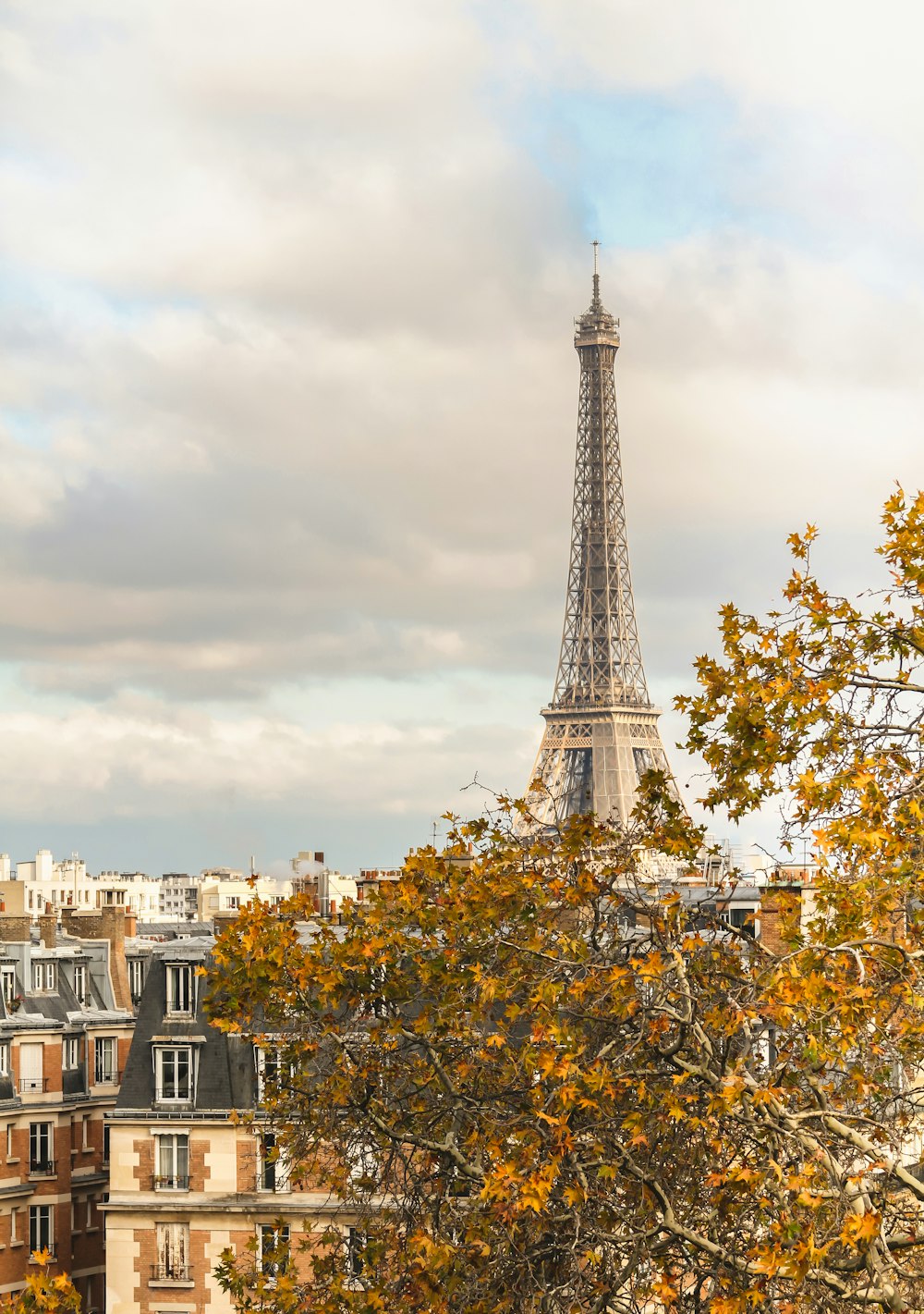 파리 시내 위로 우뚝 솟은 에펠탑