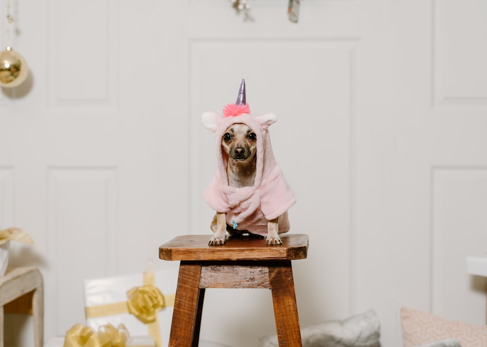 Ein kleiner Hund in einem rosa Einhorn-Outfit