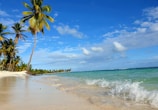A picturesque beach with clear blue waters and palm trees.
