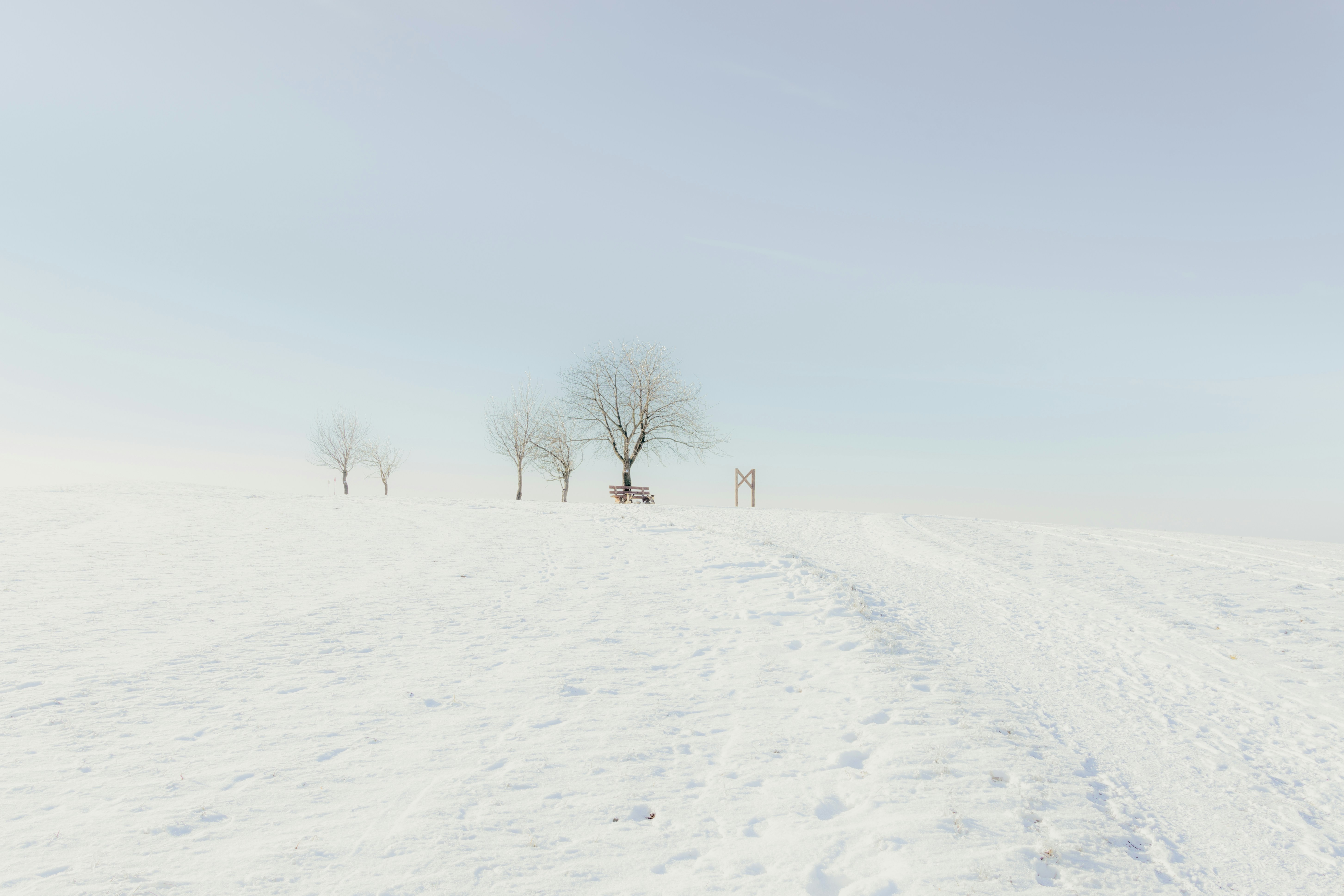멀리 나무가 있는 눈 덮인 들판
