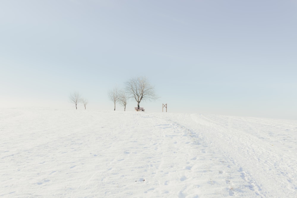 a snow covered field with trees in the distance