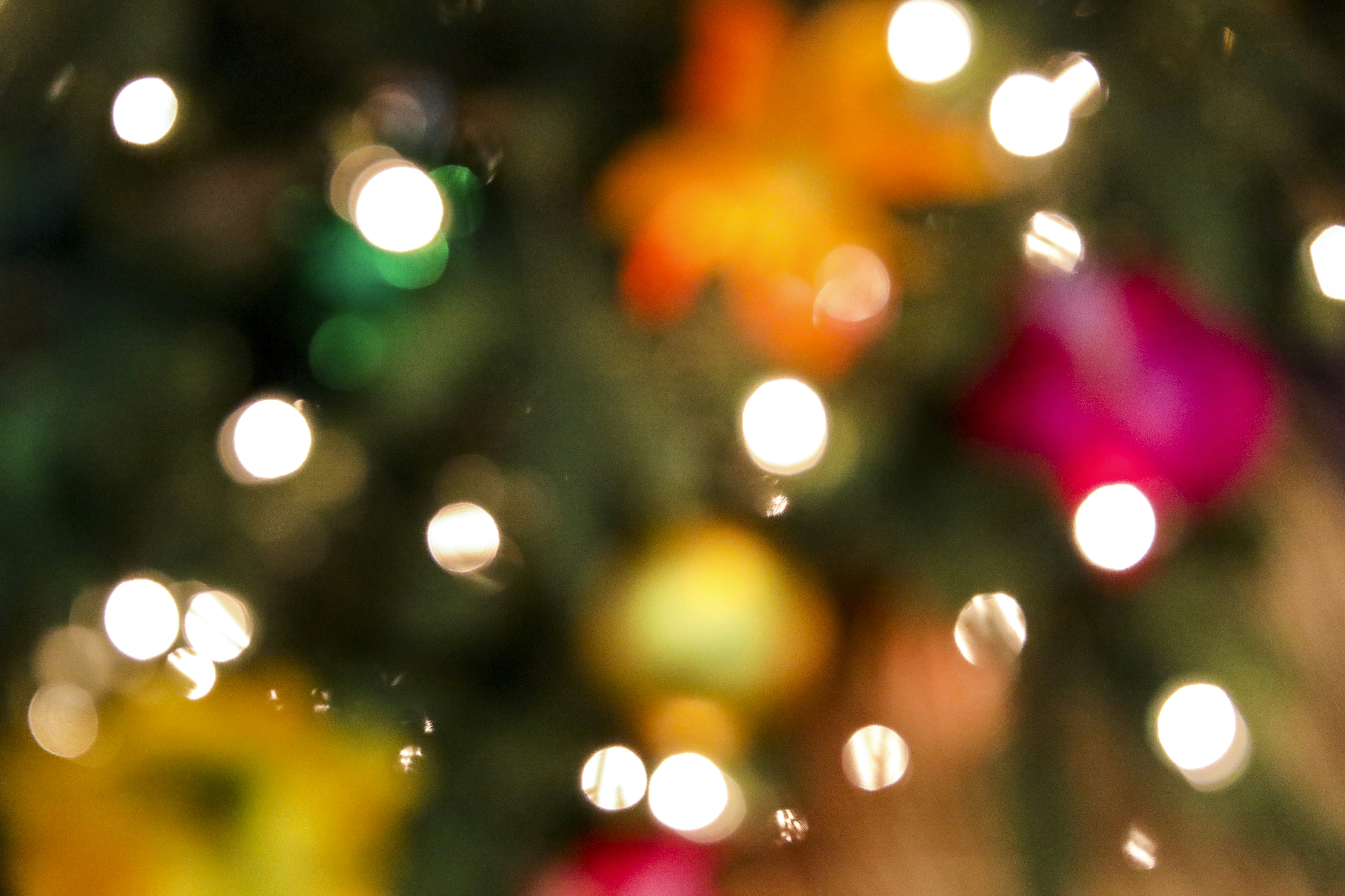 Photo by rocinante_11