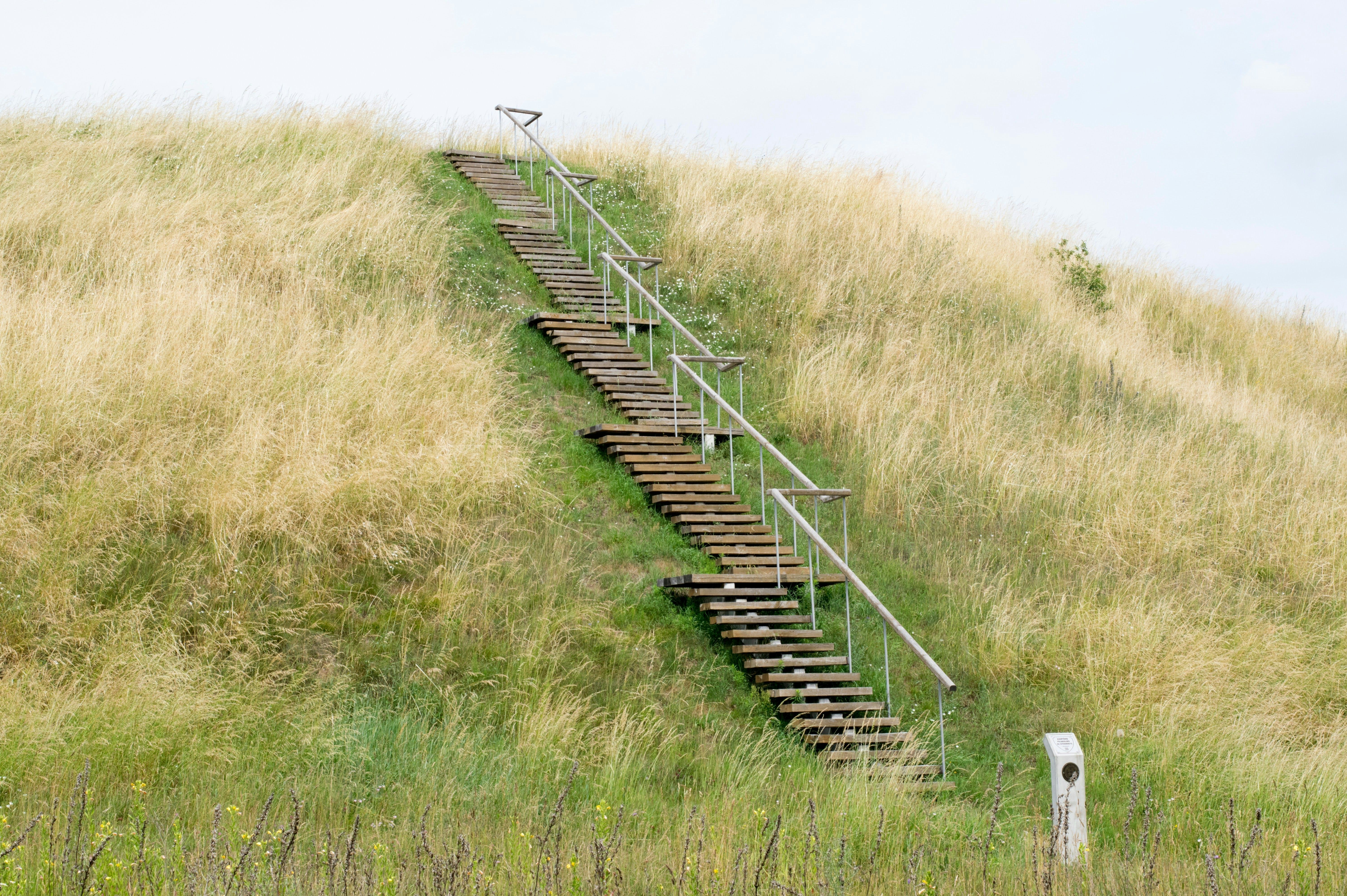 a set of stairs going up a grassy hill