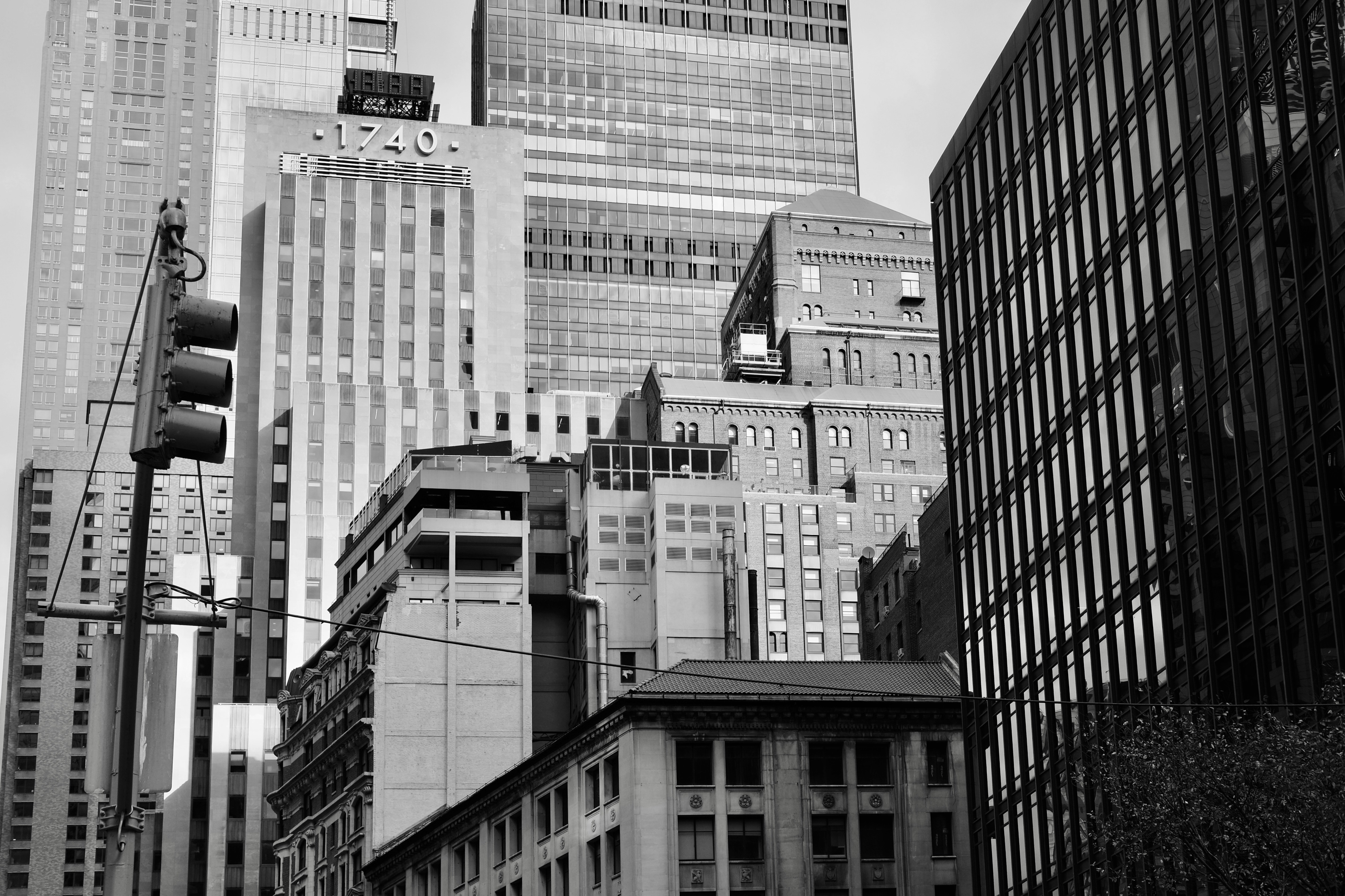 Photo by carol_xia0618