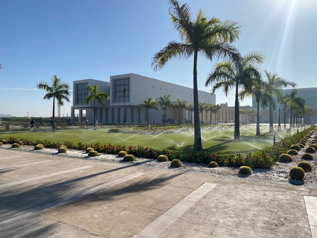 a large white building surrounded by palm trees, Egypt-Japan university for science and technology’s campus