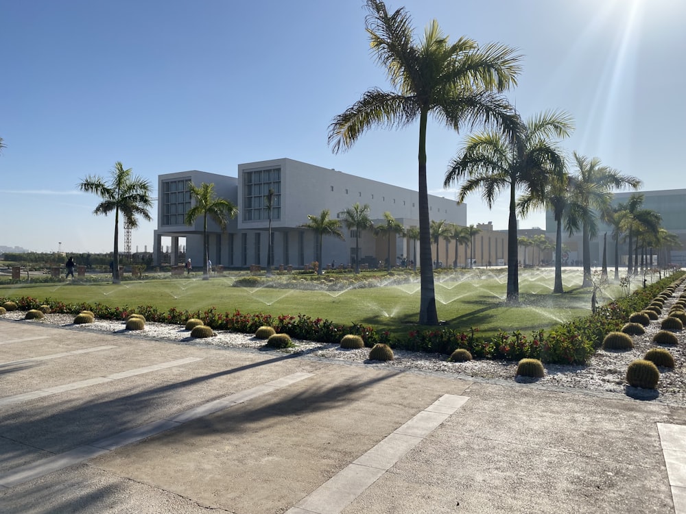 a large white building surrounded by palm trees