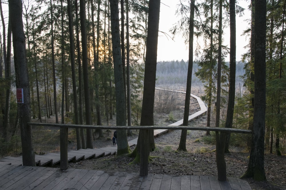 a wooden walkway in the middle of a forest