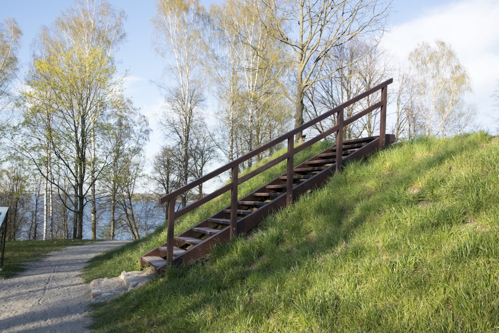 a set of stairs going up a grassy hill