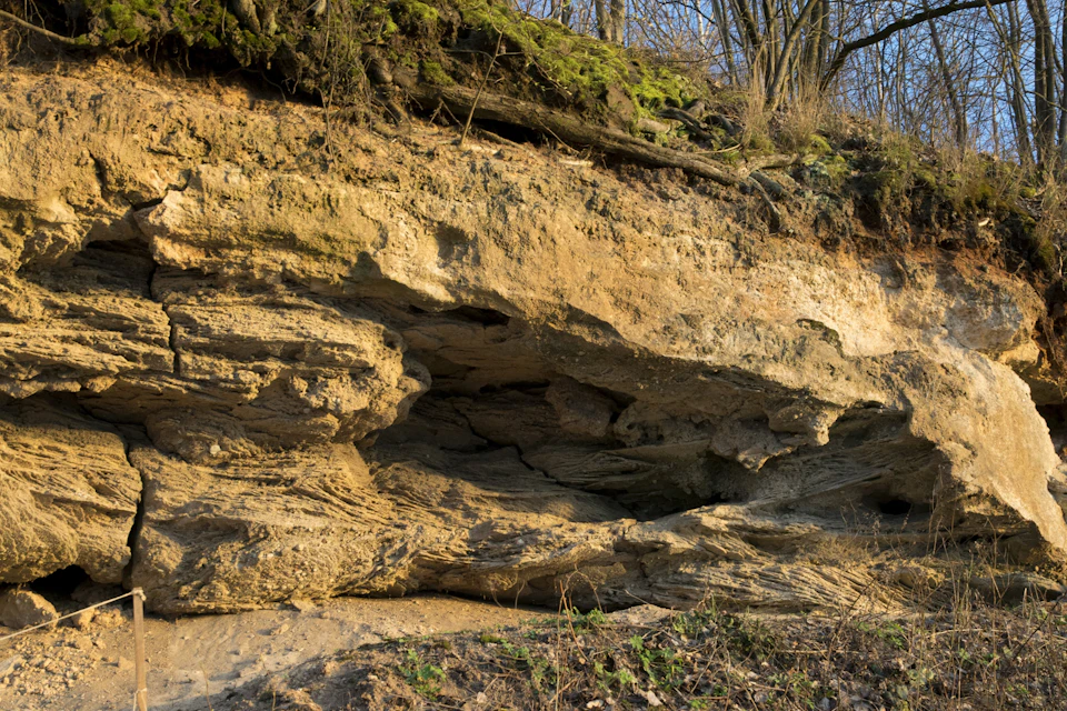 Rocky cliff face with moss and lichen, featuring a small cave-like opening and layered rock