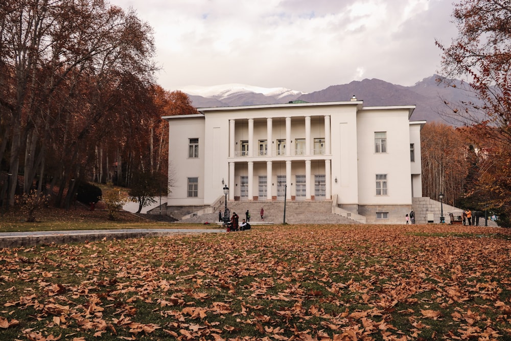 a large white building surrounded by trees and leaves