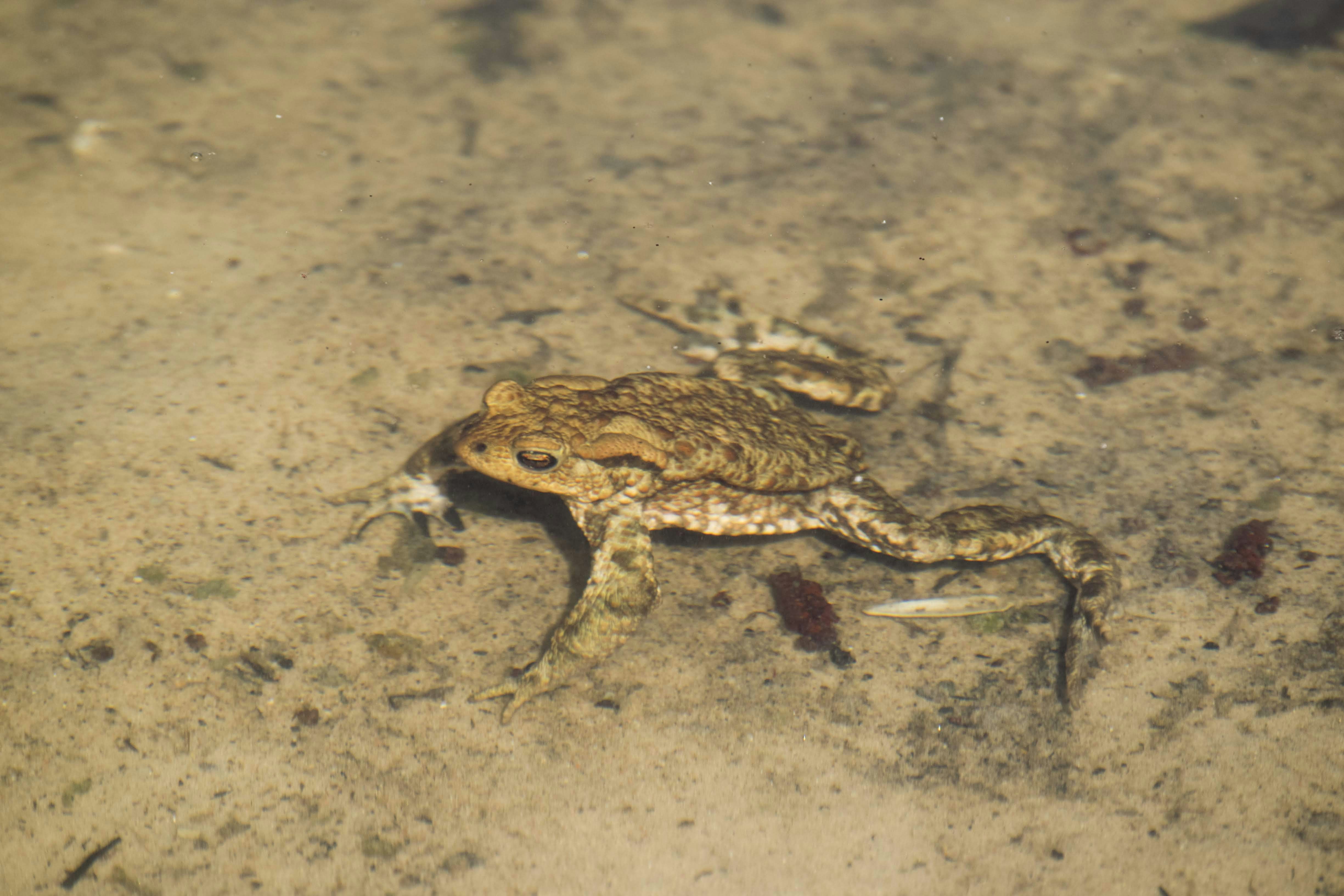 Photo by mariuskarotkis