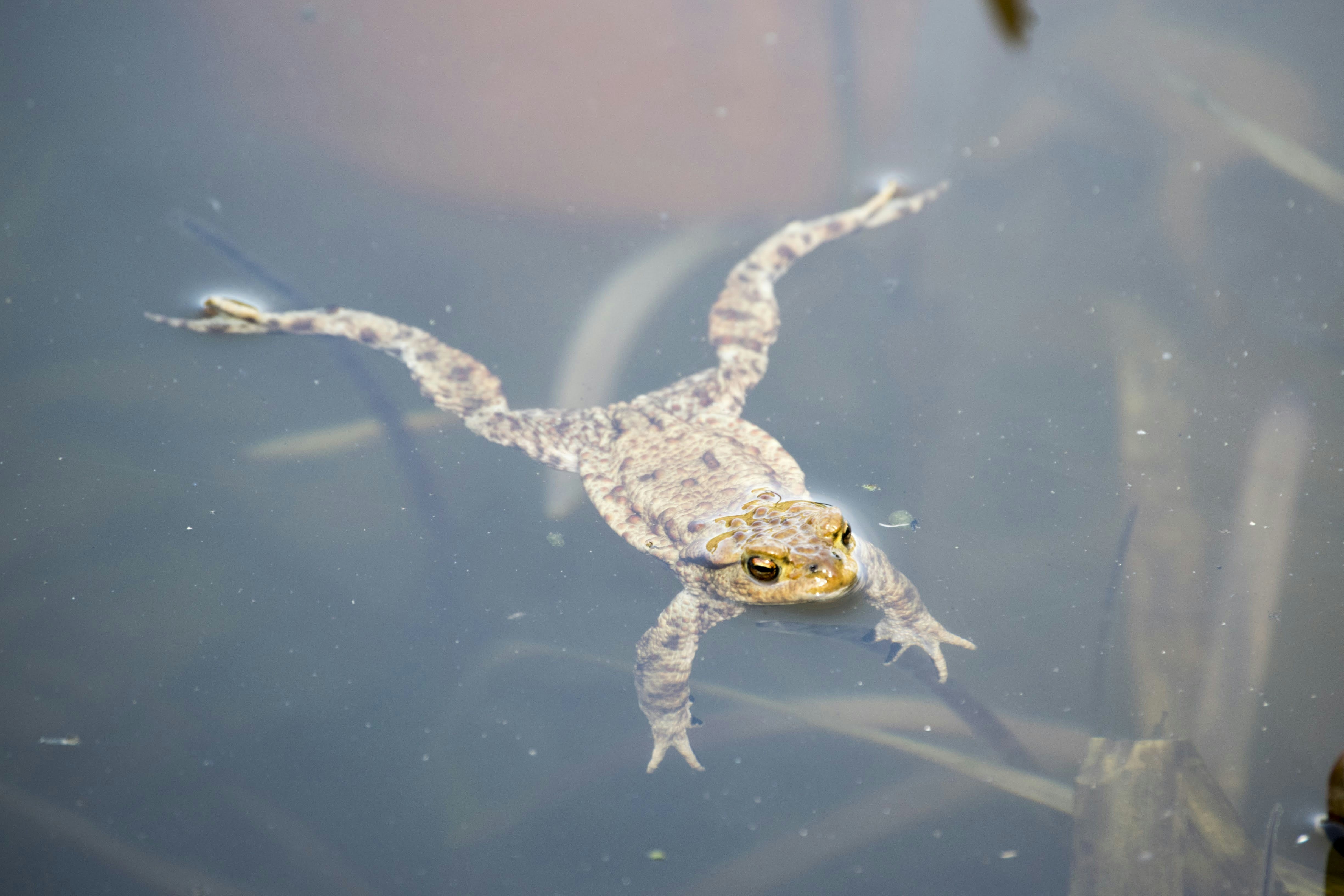 Photo by mariuskarotkis