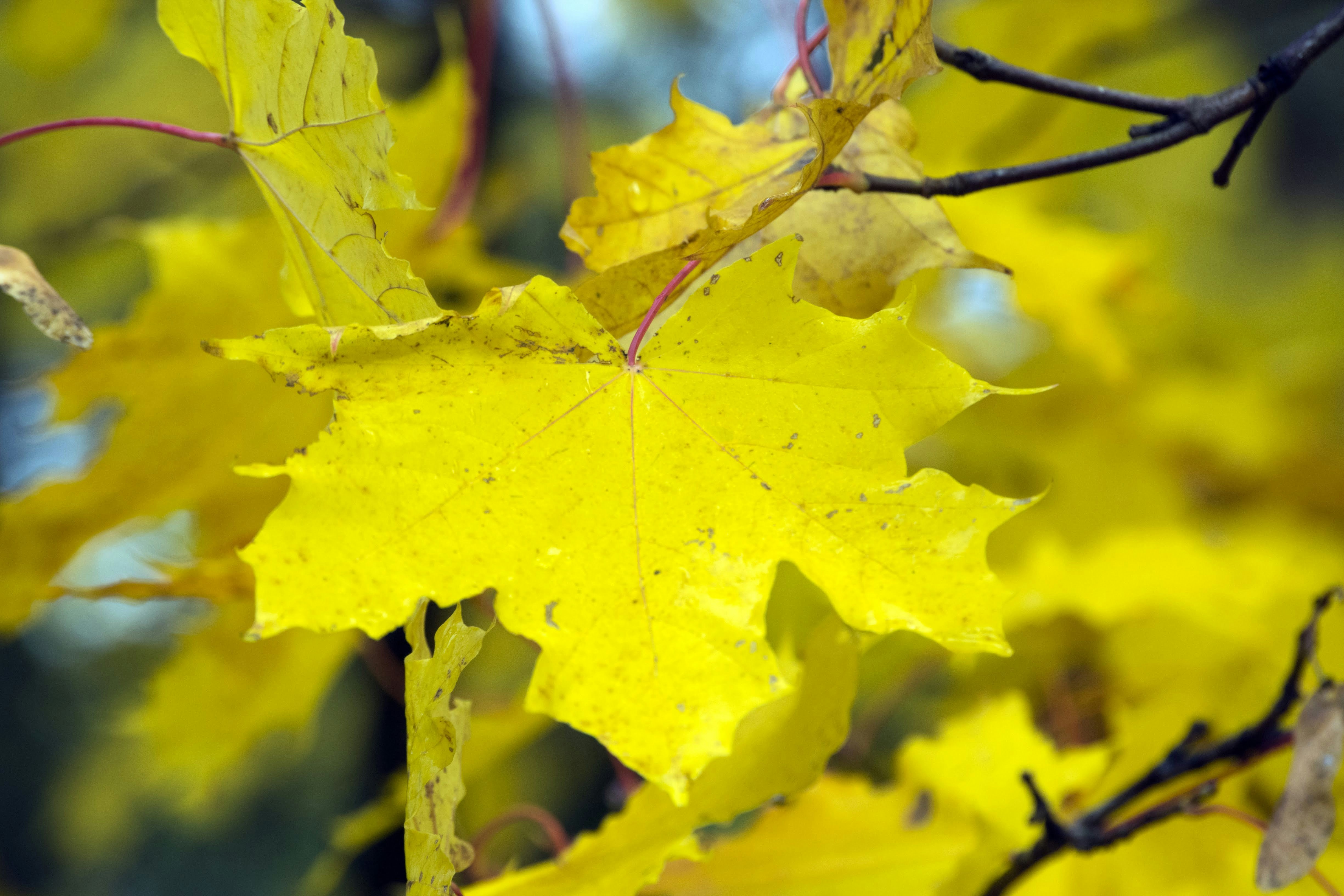 Photo by mariuskarotkis