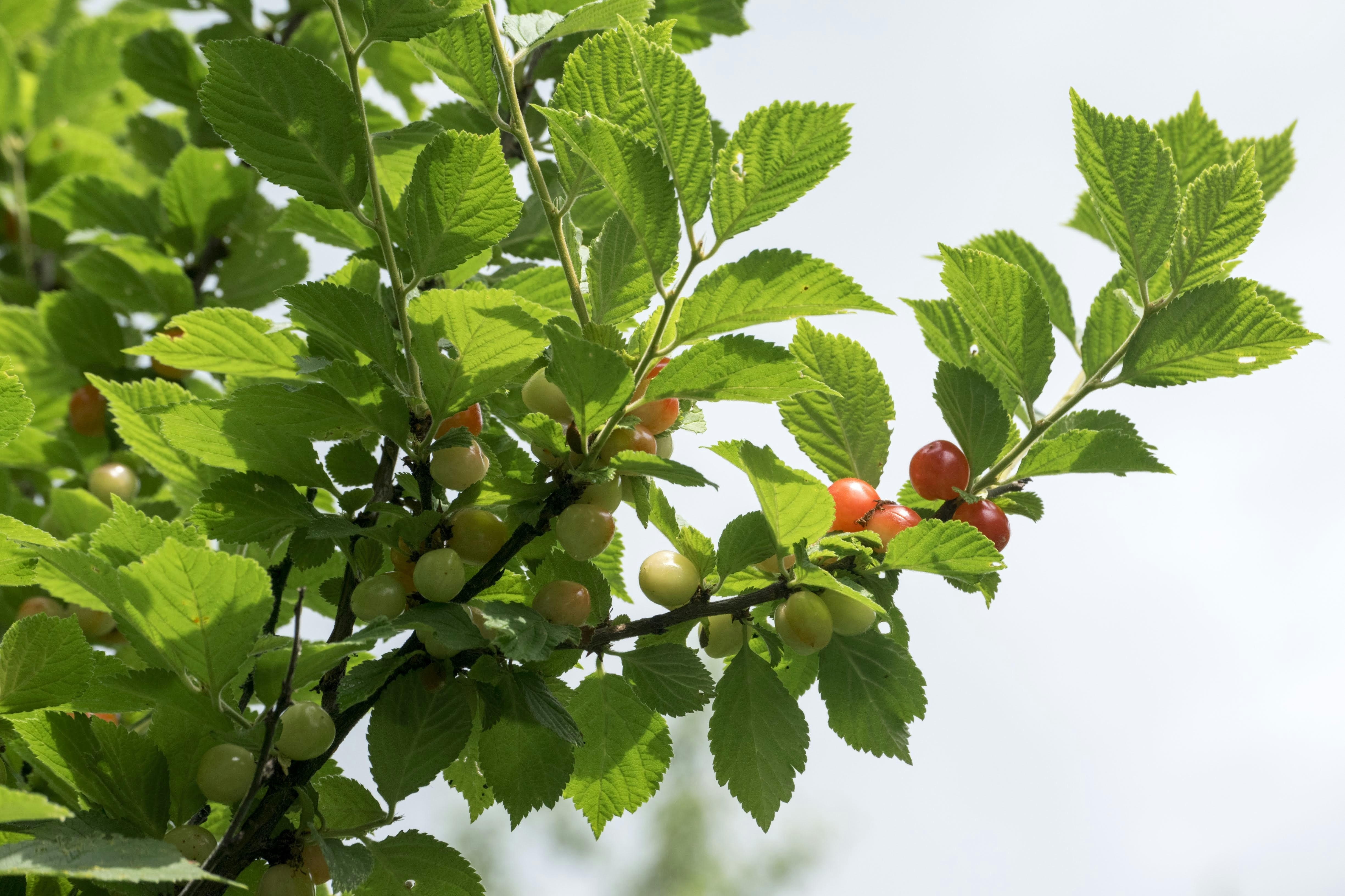 Photo by mariuskarotkis