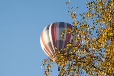 a hot air balloon flying over a tree