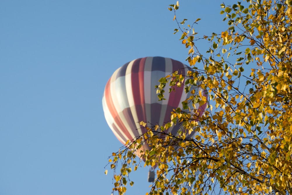 a hot air balloon flying over a tree