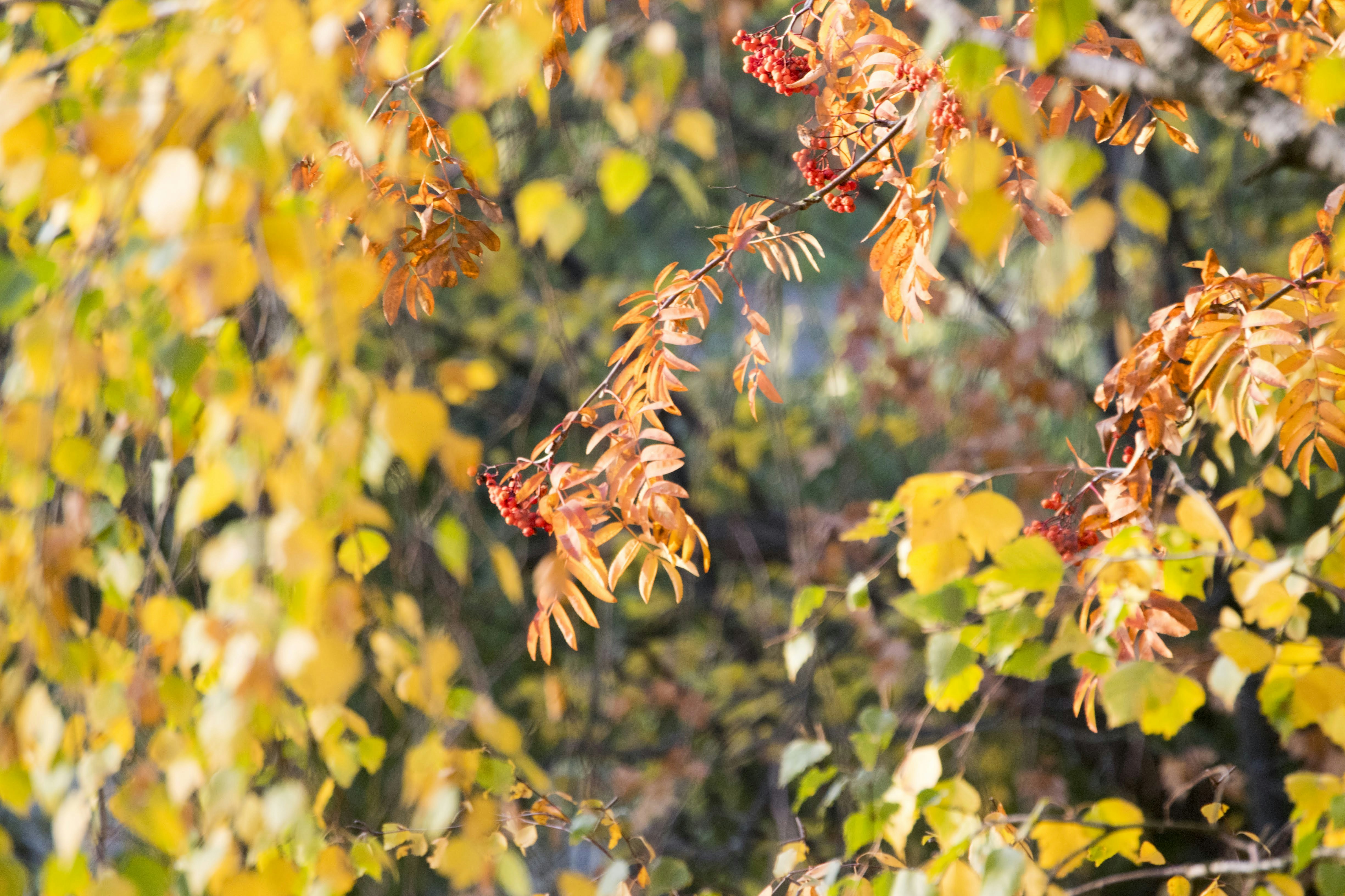 Photo by mariuskarotkis