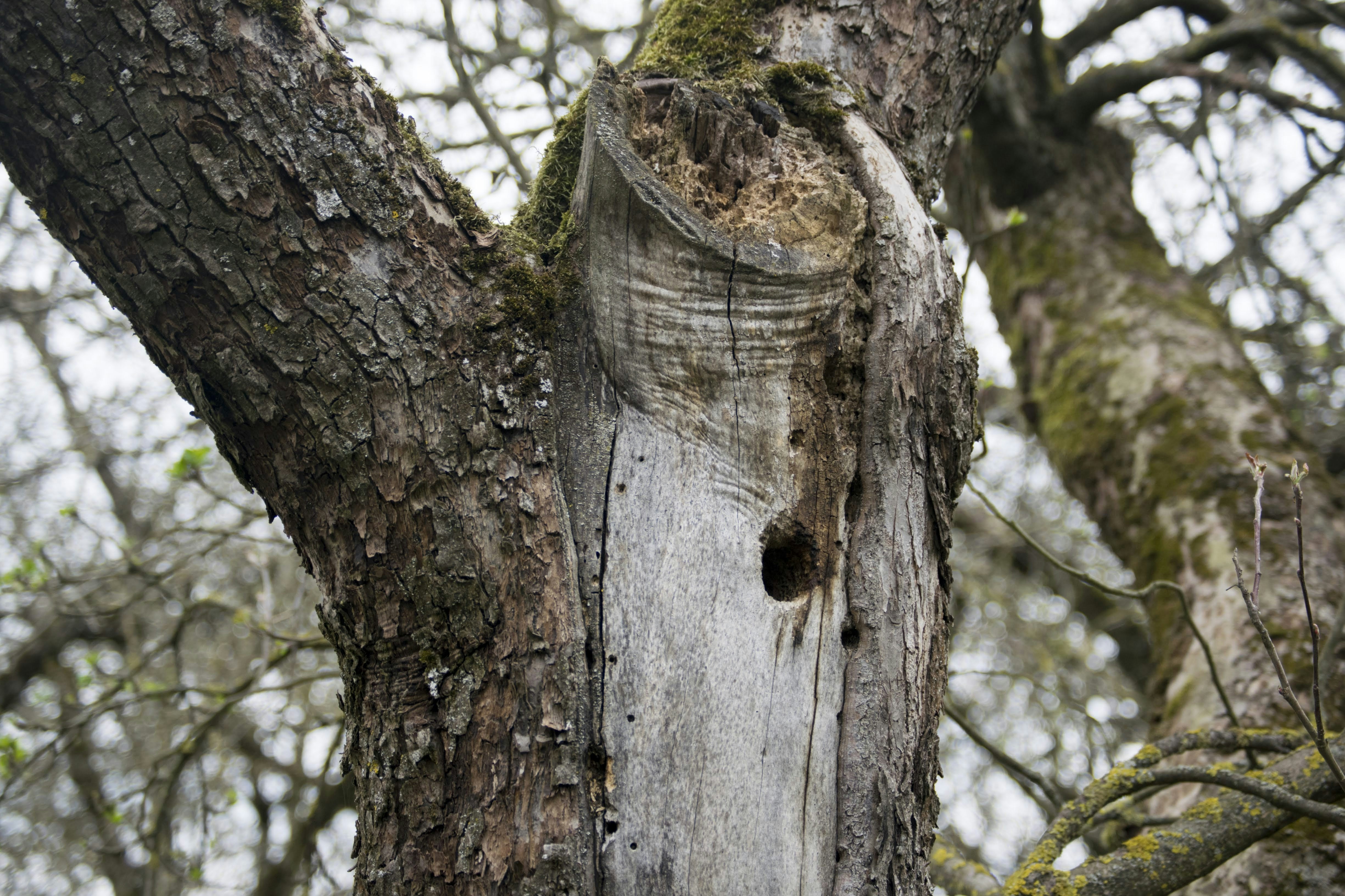 Photo by mariuskarotkis