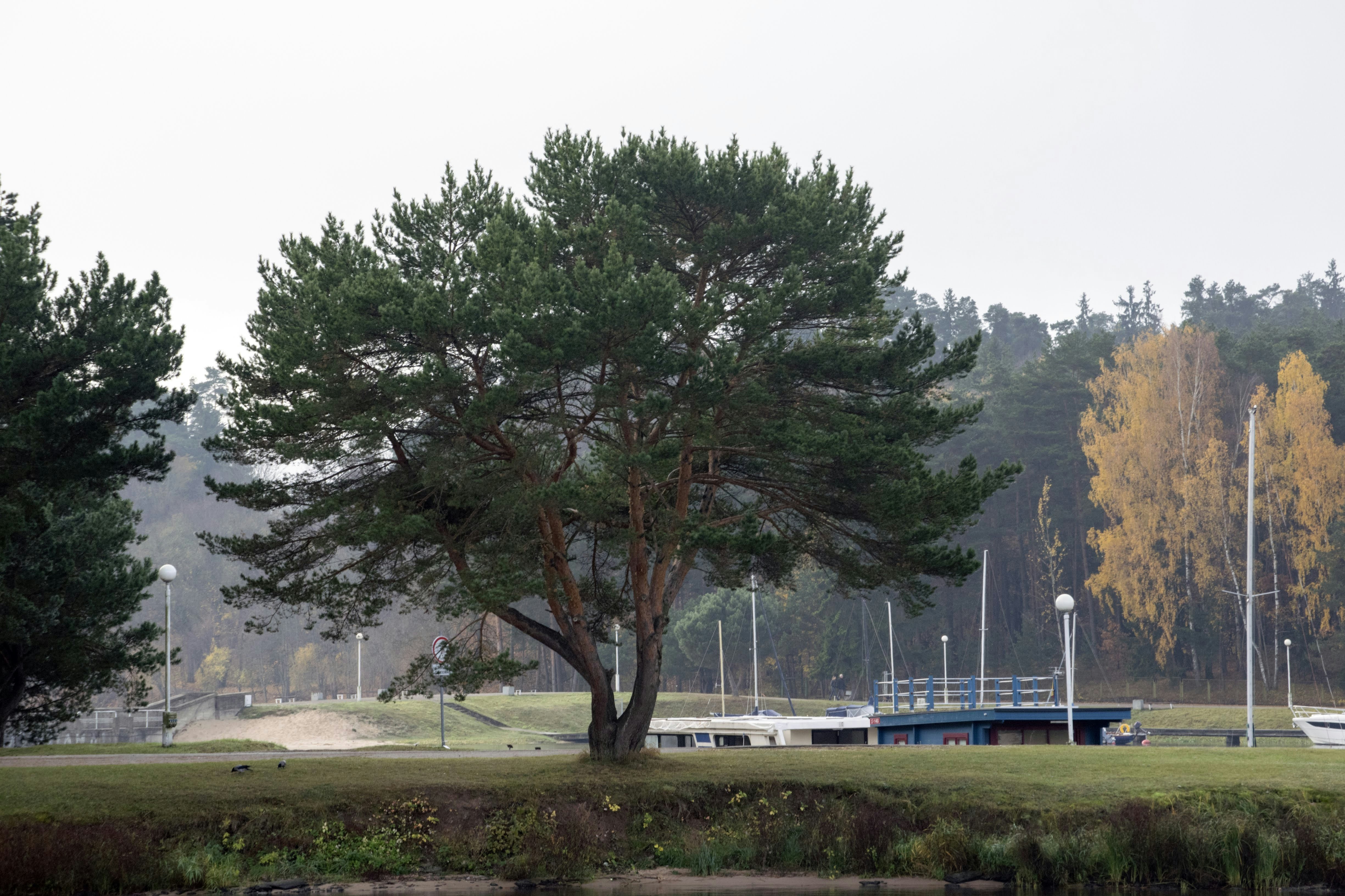 Photo by mariuskarotkis