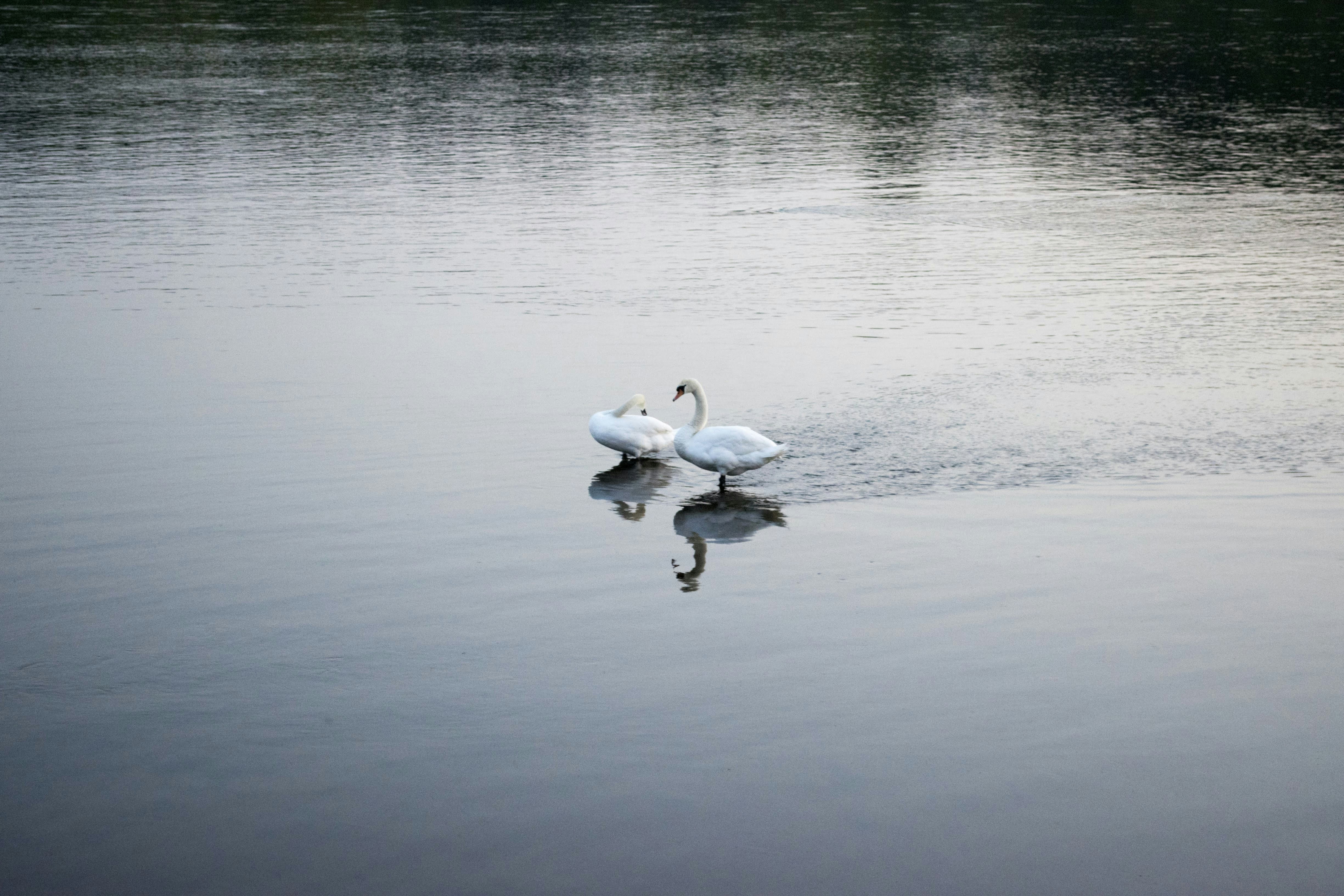 Photo by mariuskarotkis