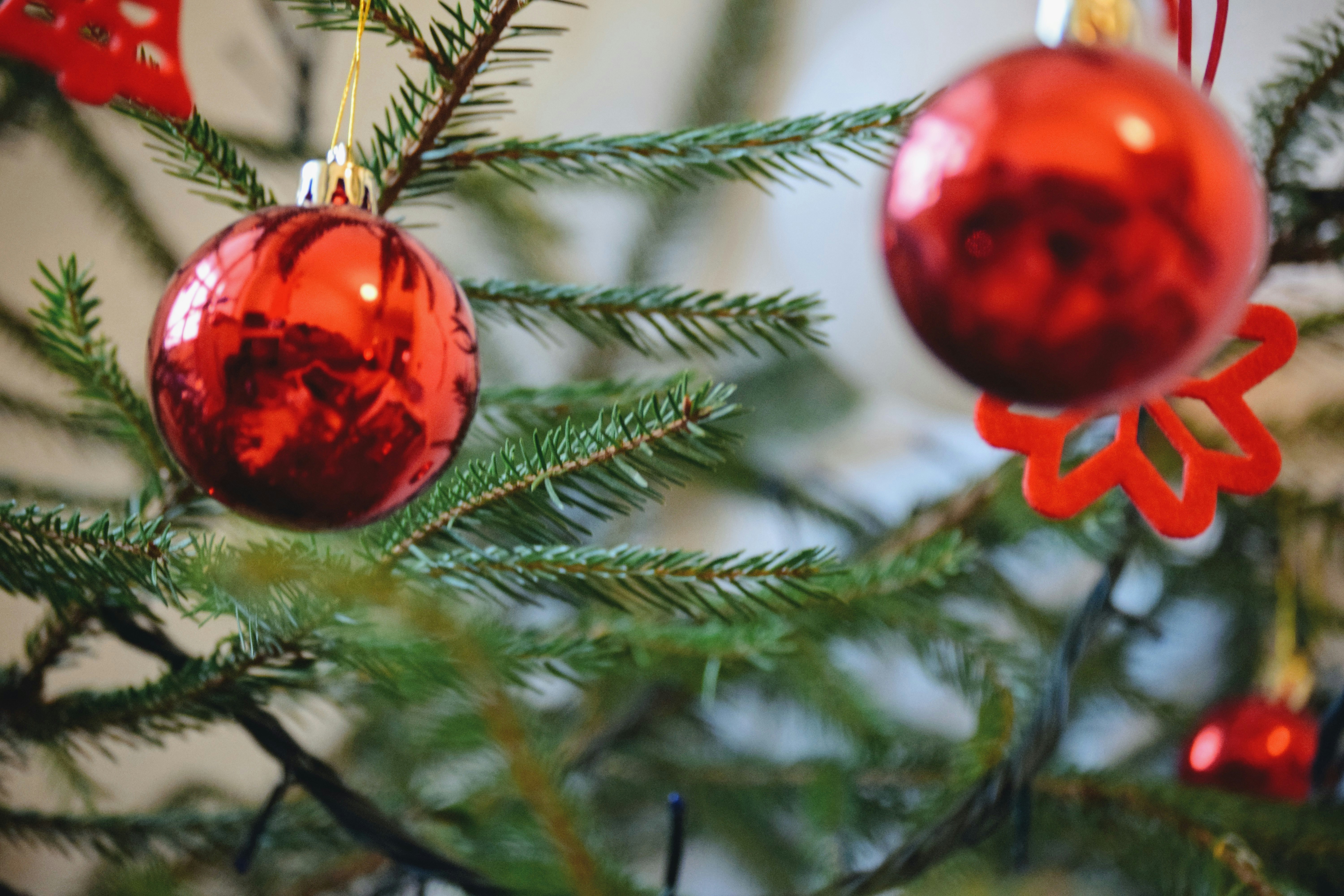 Photo by mariuskarotkis