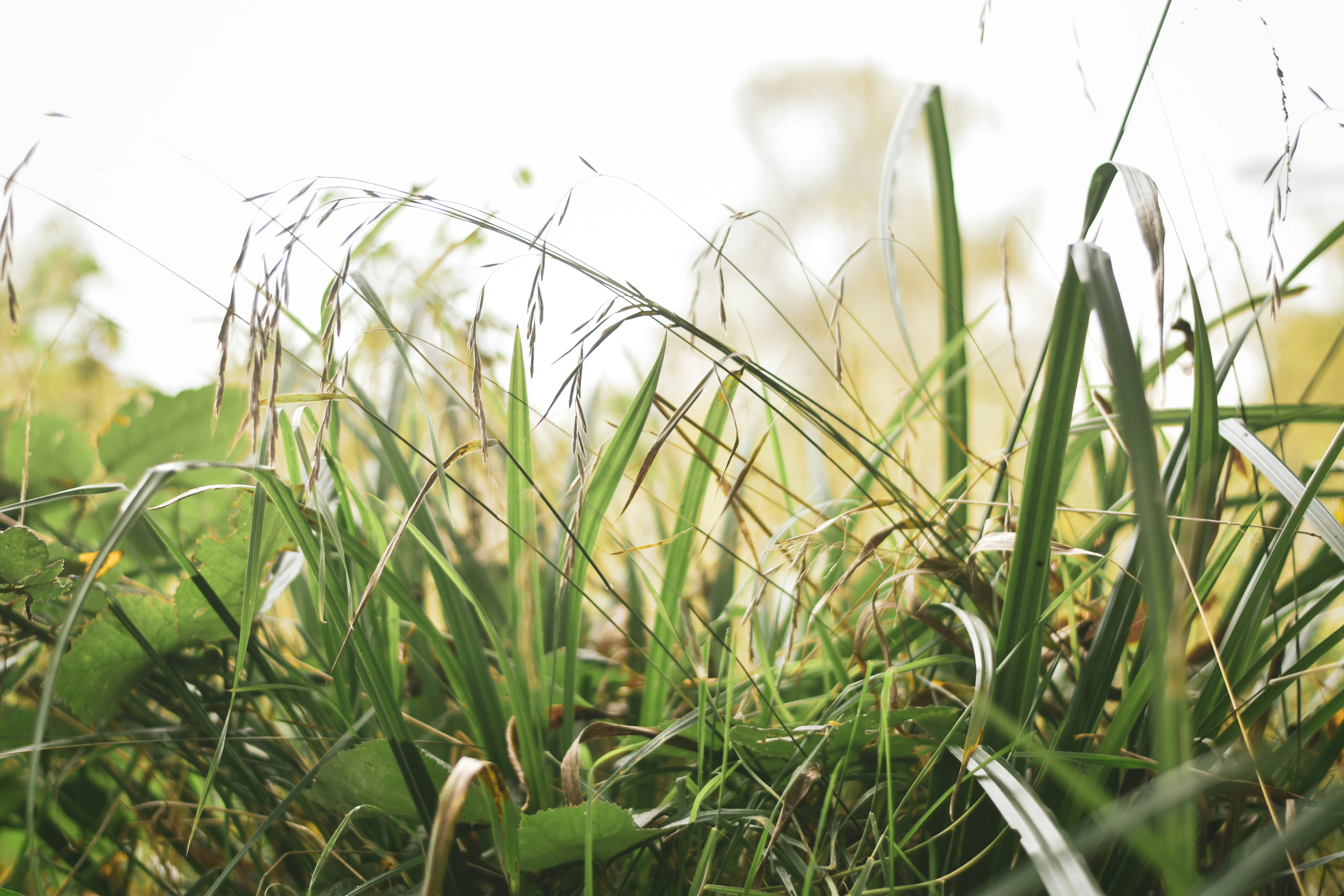 Photo by elliottmason