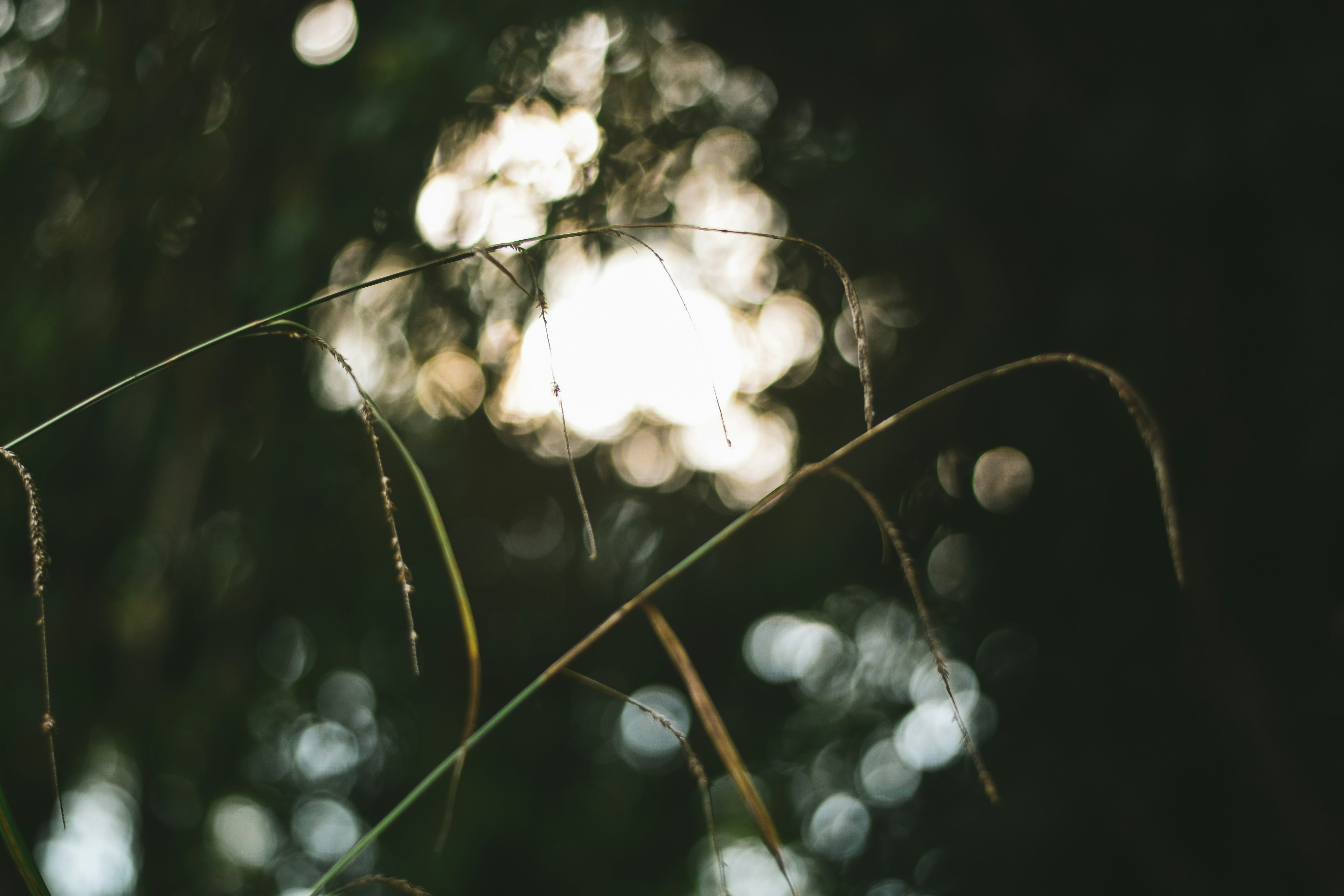 Photo by elliottmason