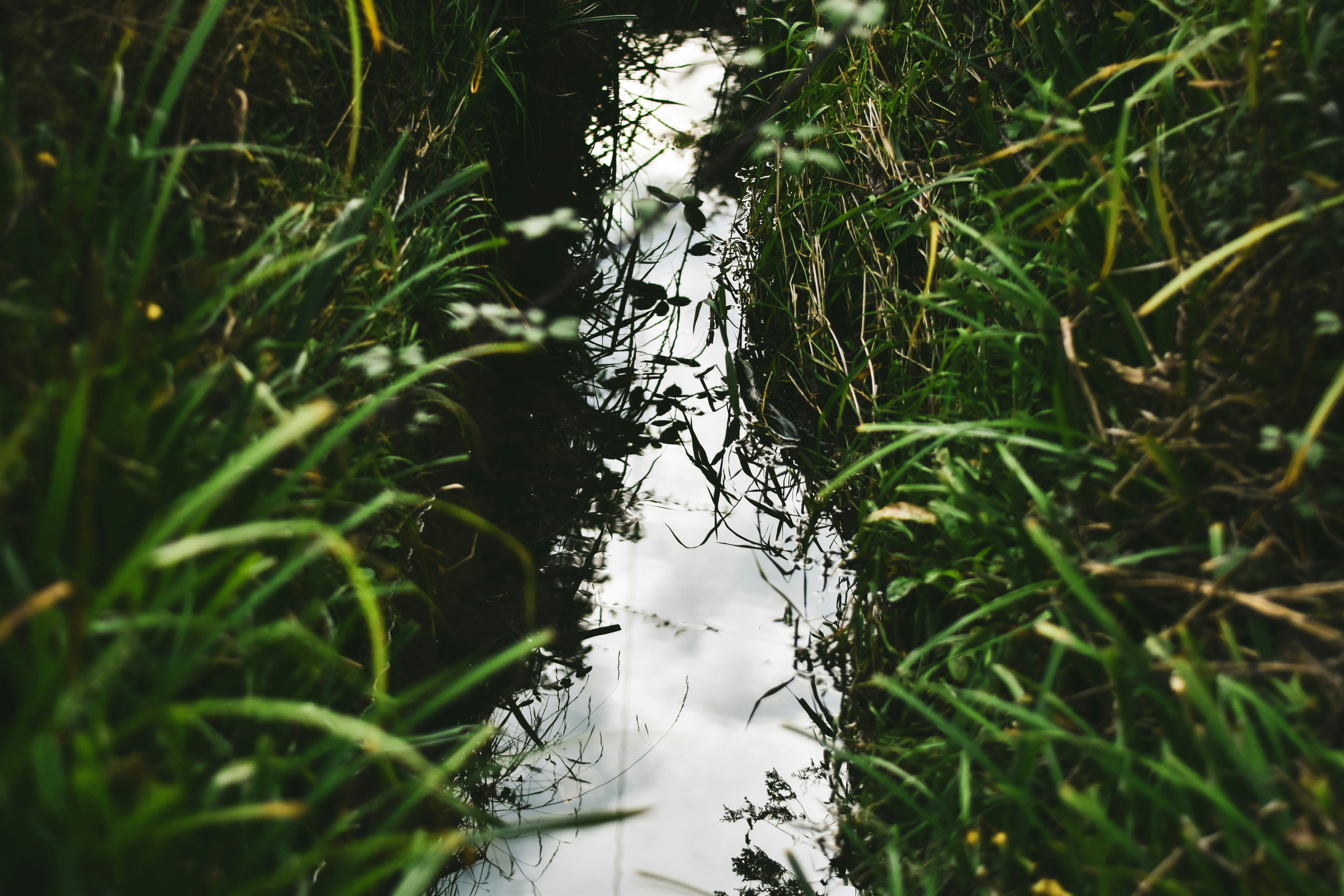 Photo by elliottmason