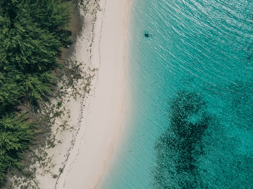 an aerial view of a beach and a forested area