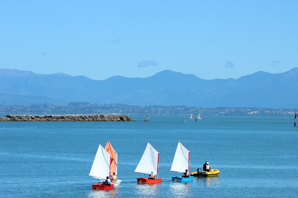 a group of sailboats floating on top of a large body of water