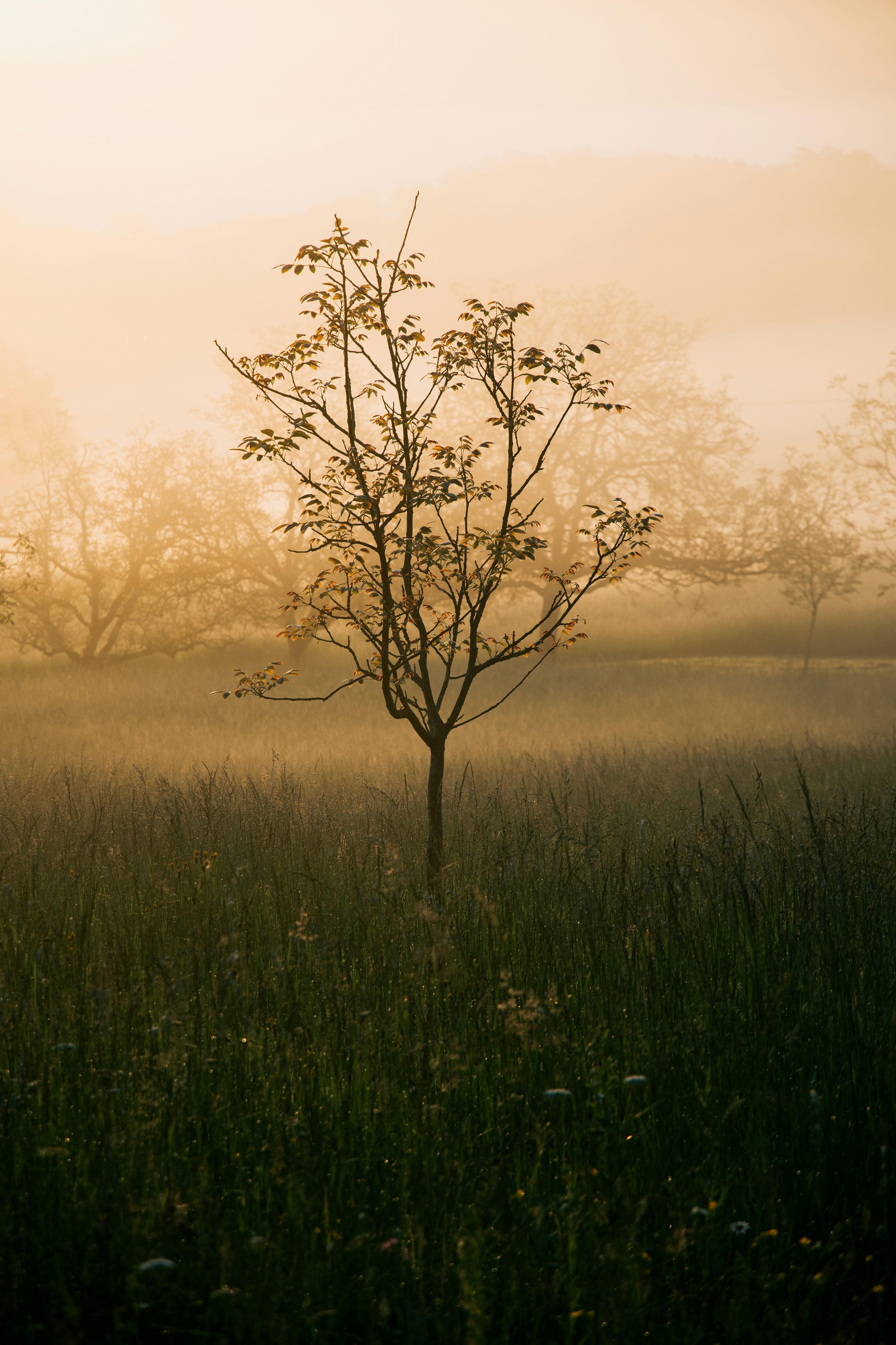 Photo by romainvirtuel