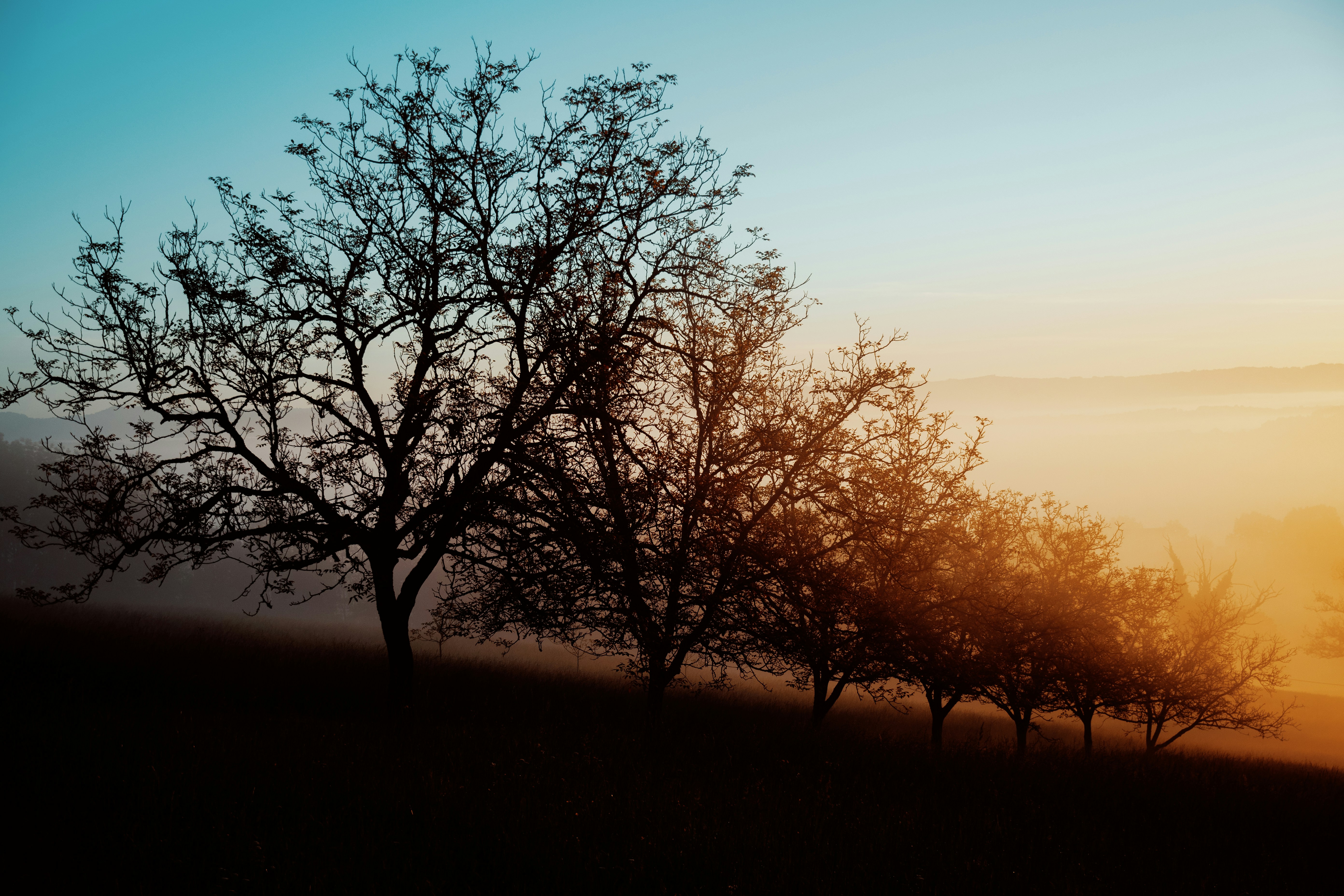 Photo by romainvirtuel