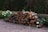 A stack of cut firewood is neatly arranged on a gravel surface, surrounded by blooming white daffodils. The wood appears aged and weathered, lying against a backdrop of dense, dark green hedges, contributing to a rustic garden atmosphere.