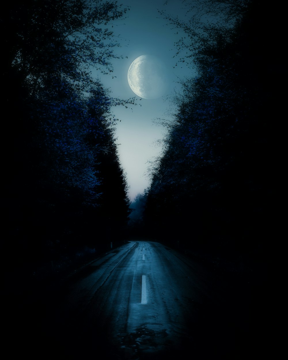 a dark road with trees and a half moon in the sky