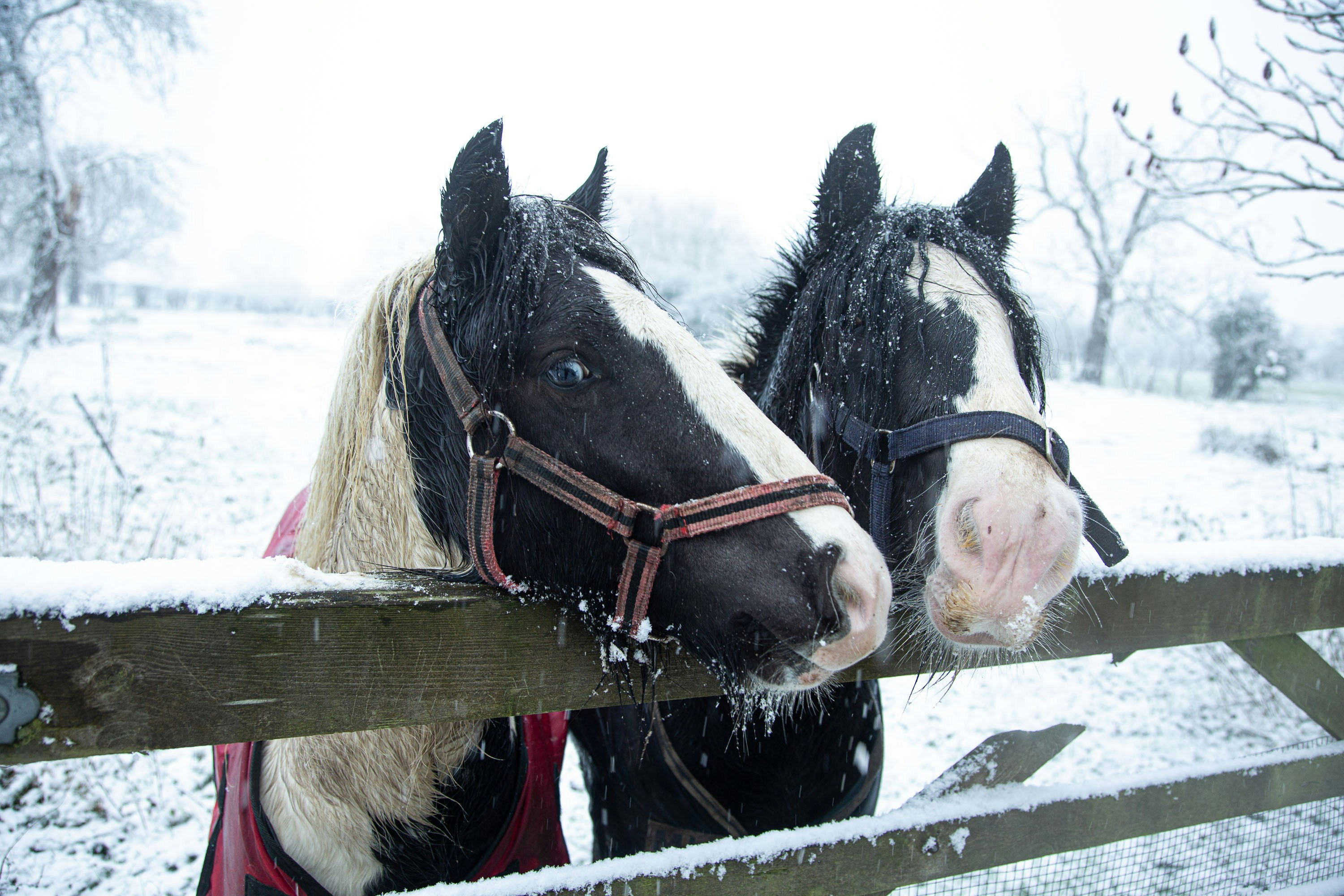 Photo by itscakefortea