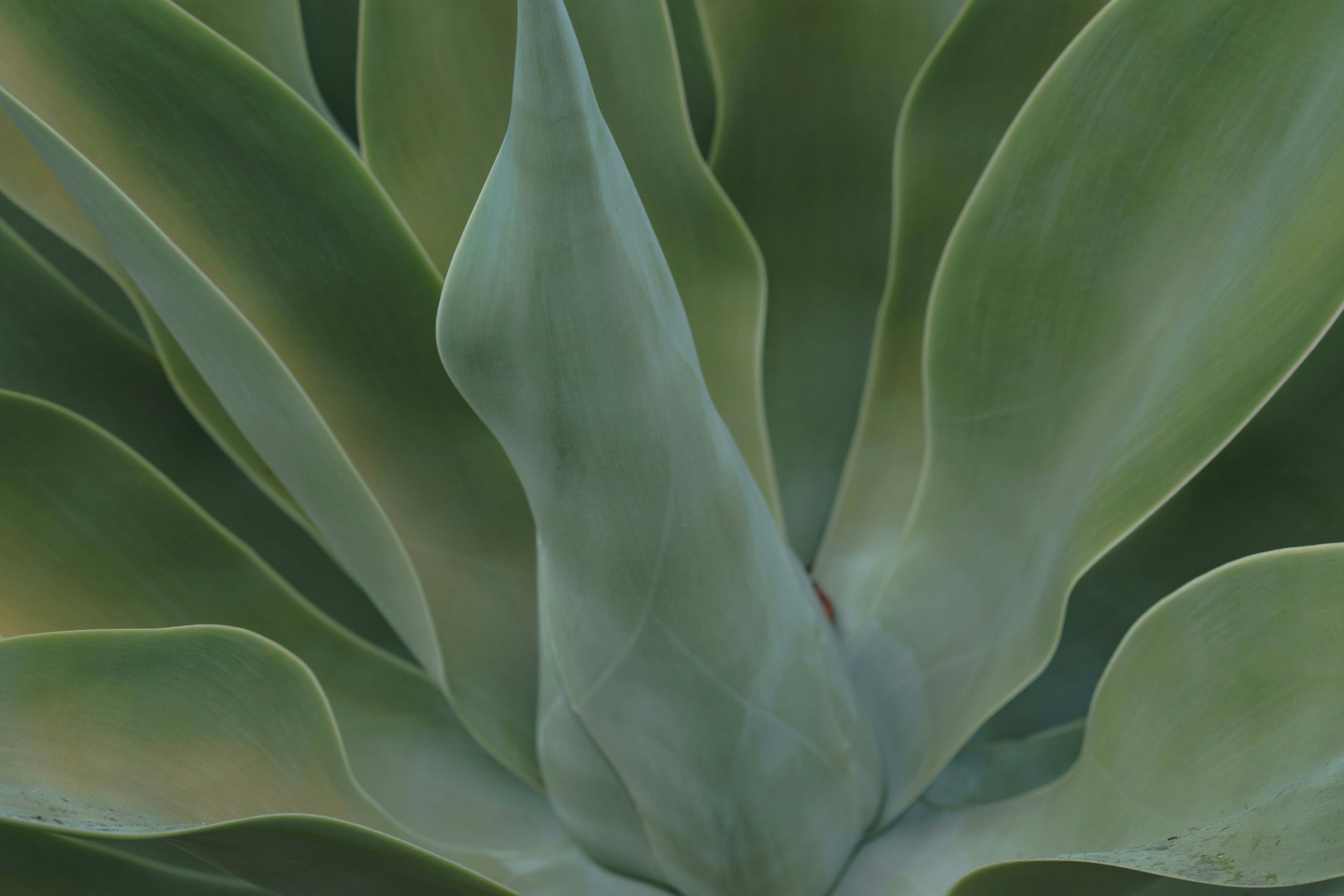 Photo by earl_plannerzone