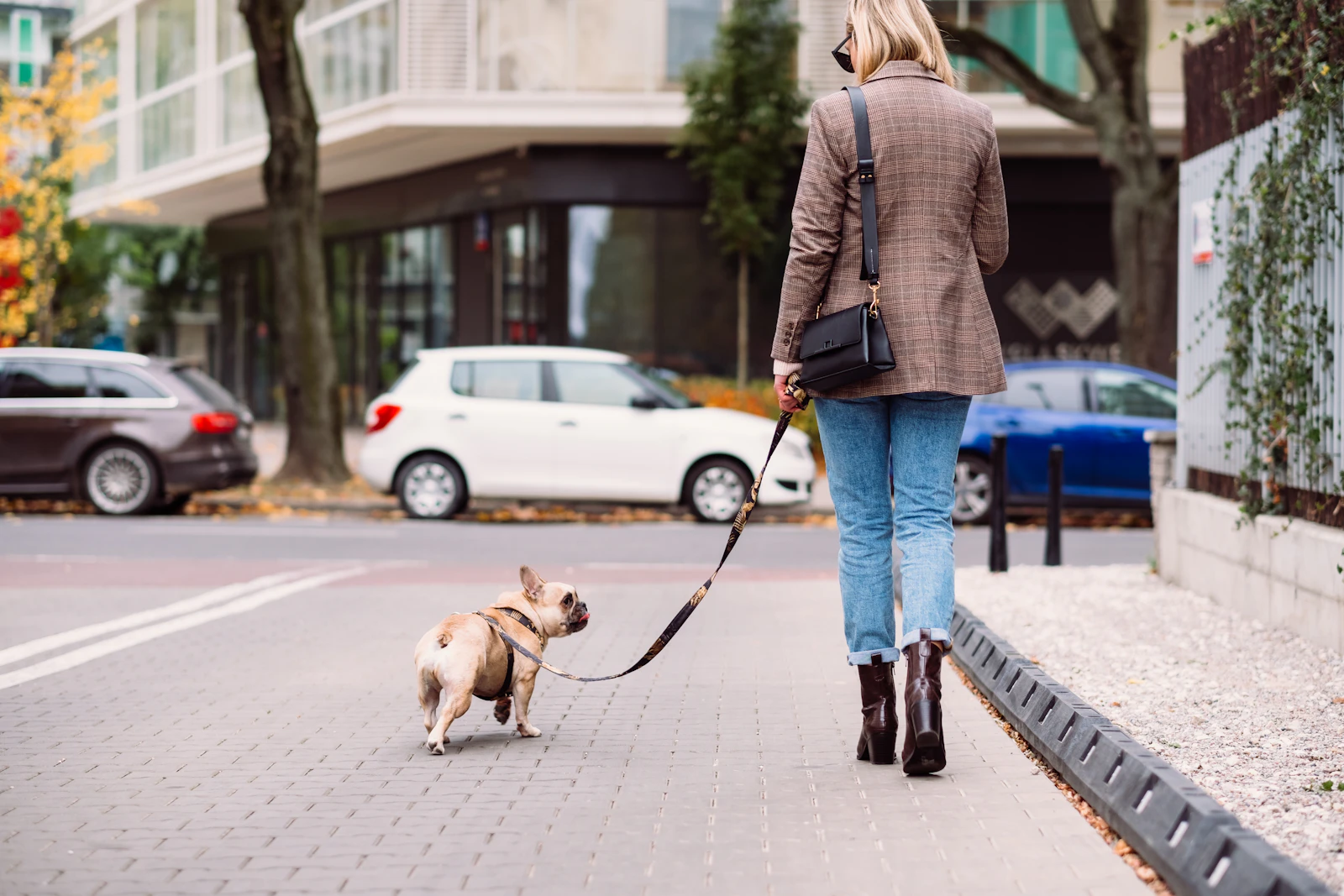 Une femme se promène avec son chien tenu en laisse — photo d’illustration
