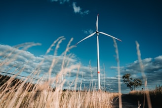a wind turbine in the middle of a field