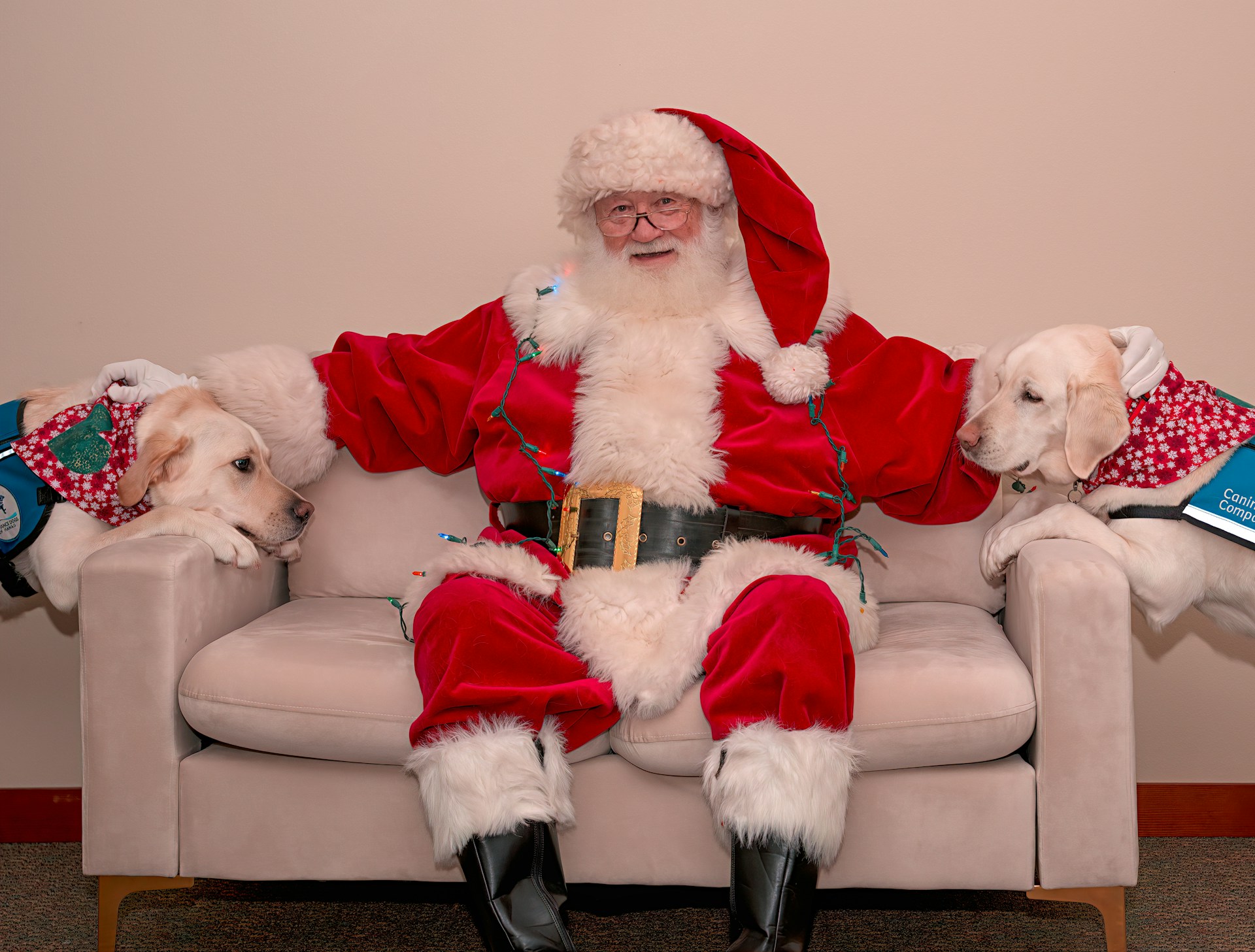 a man dressed as santa claus sitting on a couch with two dogs
