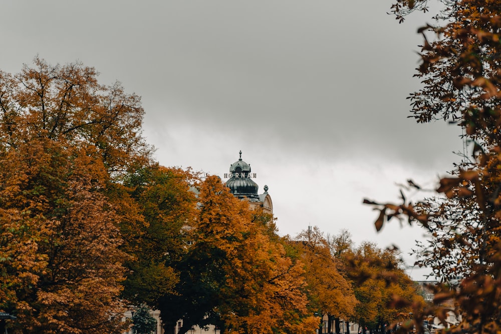 a clock tower in the distance surrounded by trees