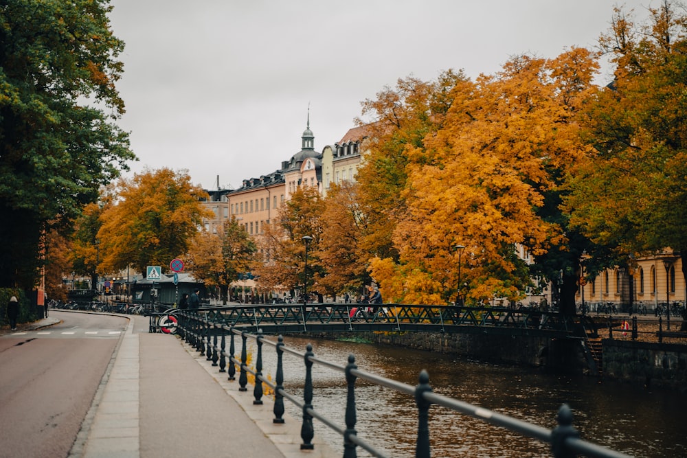 Un río que atraviesa una ciudad junto a edificios altos