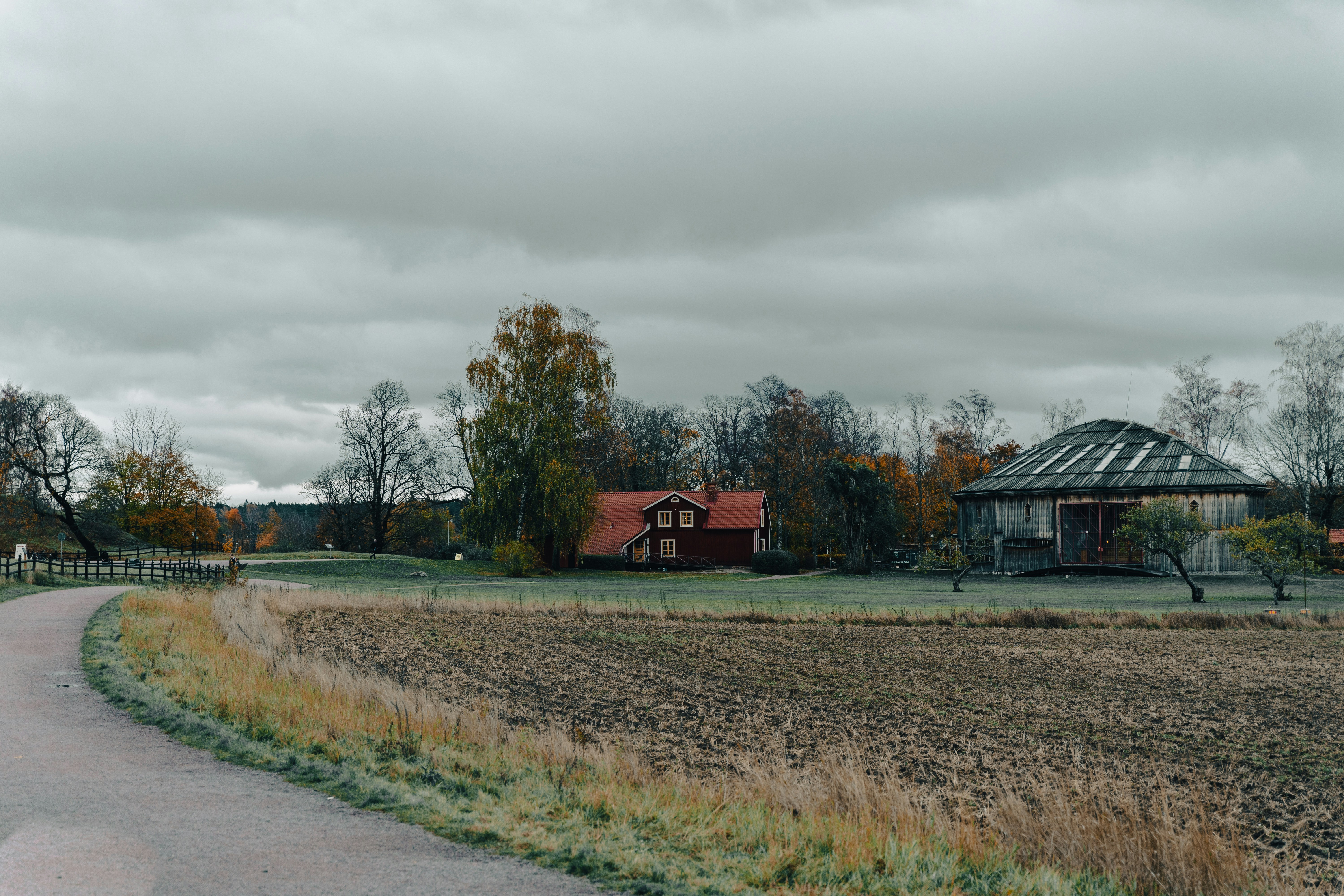 Photo by ayadighaith