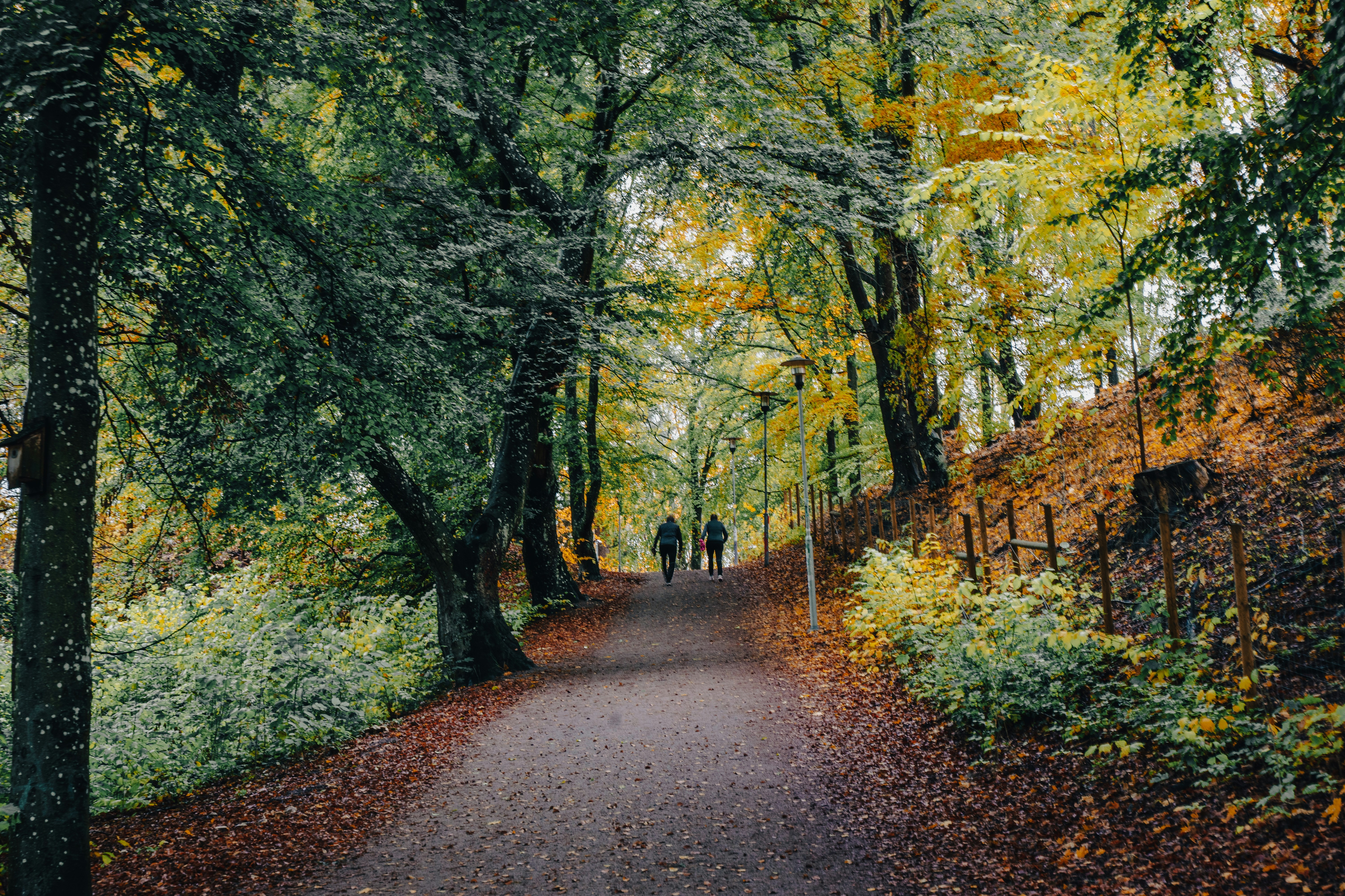 Photo by ayadighaith