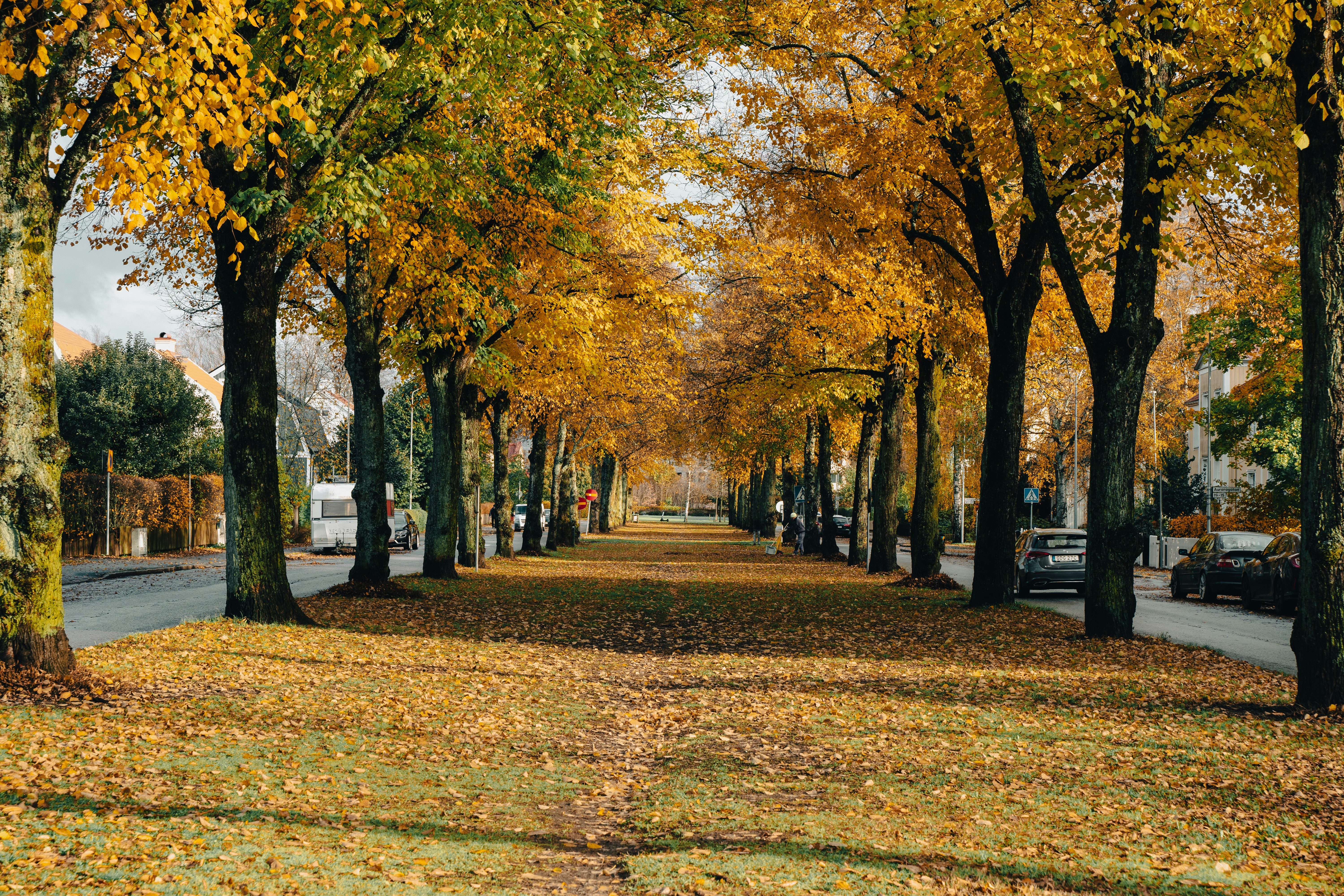 Photo by ayadighaith