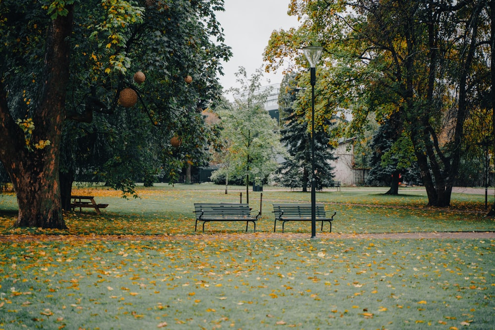 a couple of park benches sitting next to each other