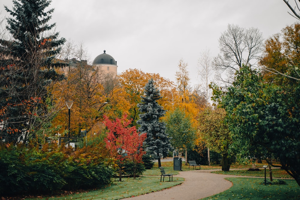 a path in a park with a building in the background