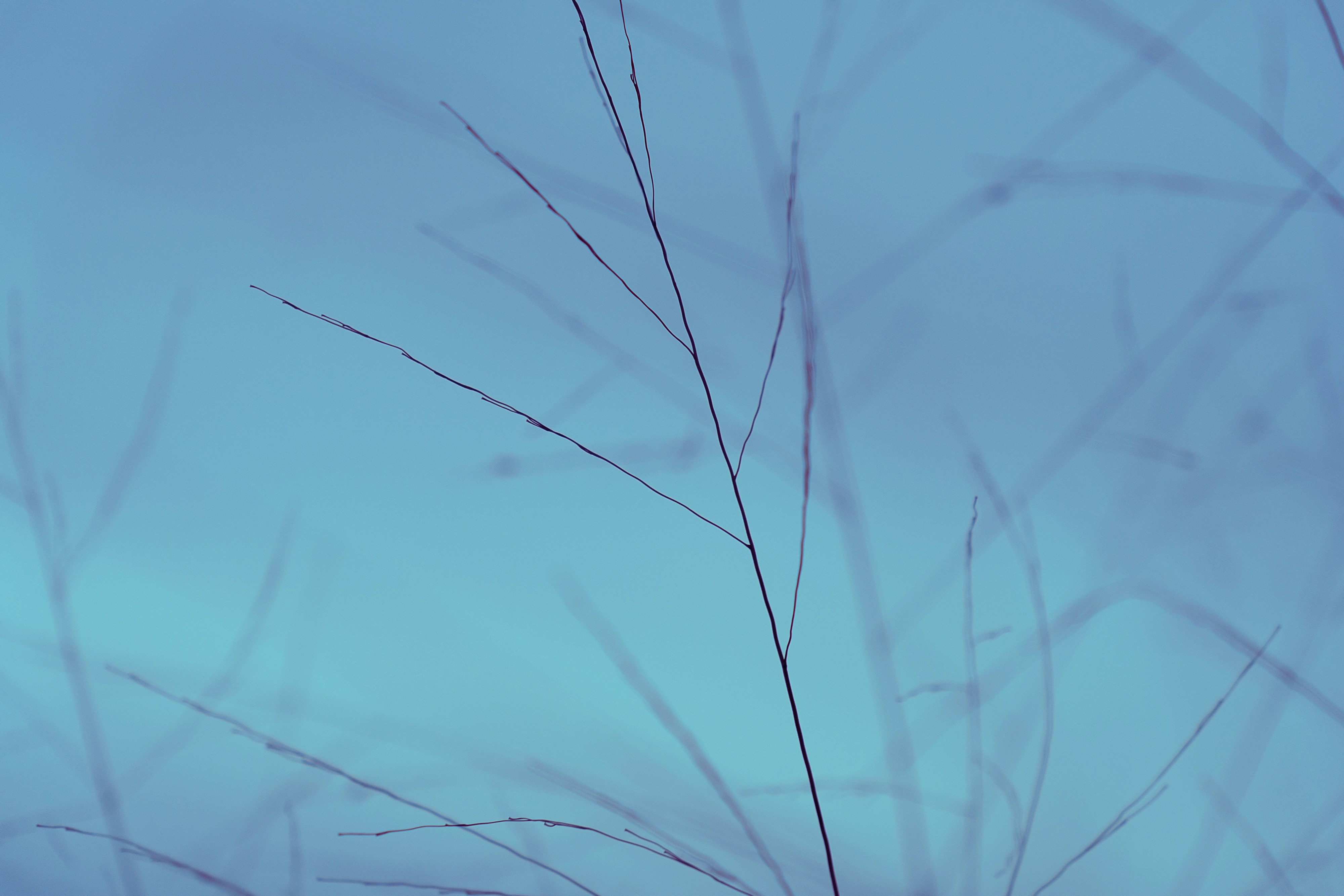 Photo by tfrankcreations